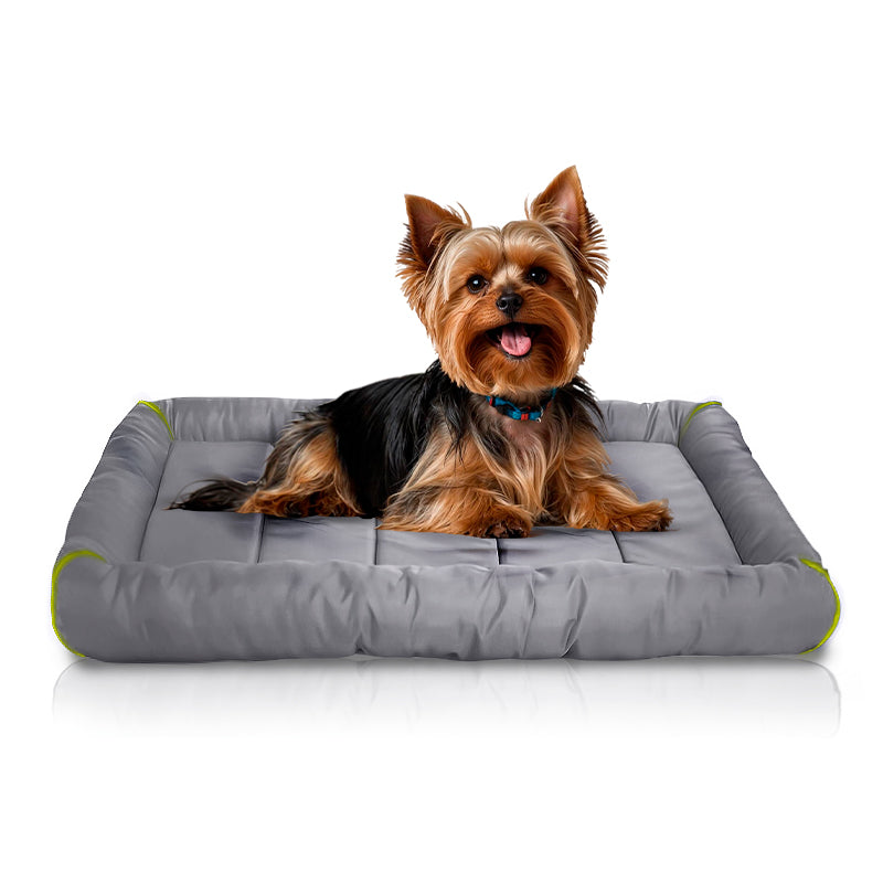 Pet mat for crate best sale