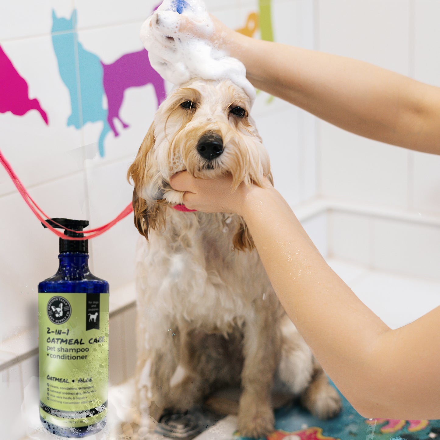 Precious Tails  2-IN-1 Pet Shampoo and Conditioner for Dogs, Cleans, Conditions, Detangles, Moisturizes with Oatmeal, Aloe Vera,  Cucumber Scent 1000ml