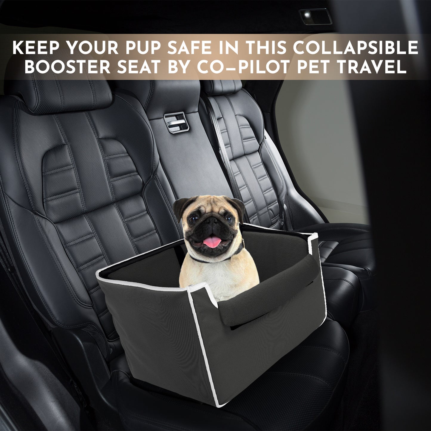 Co-Pilot Pet Car Seat  -  Collapsible and Foldable Booster Car Seats for Small - Medium Sized Dogs