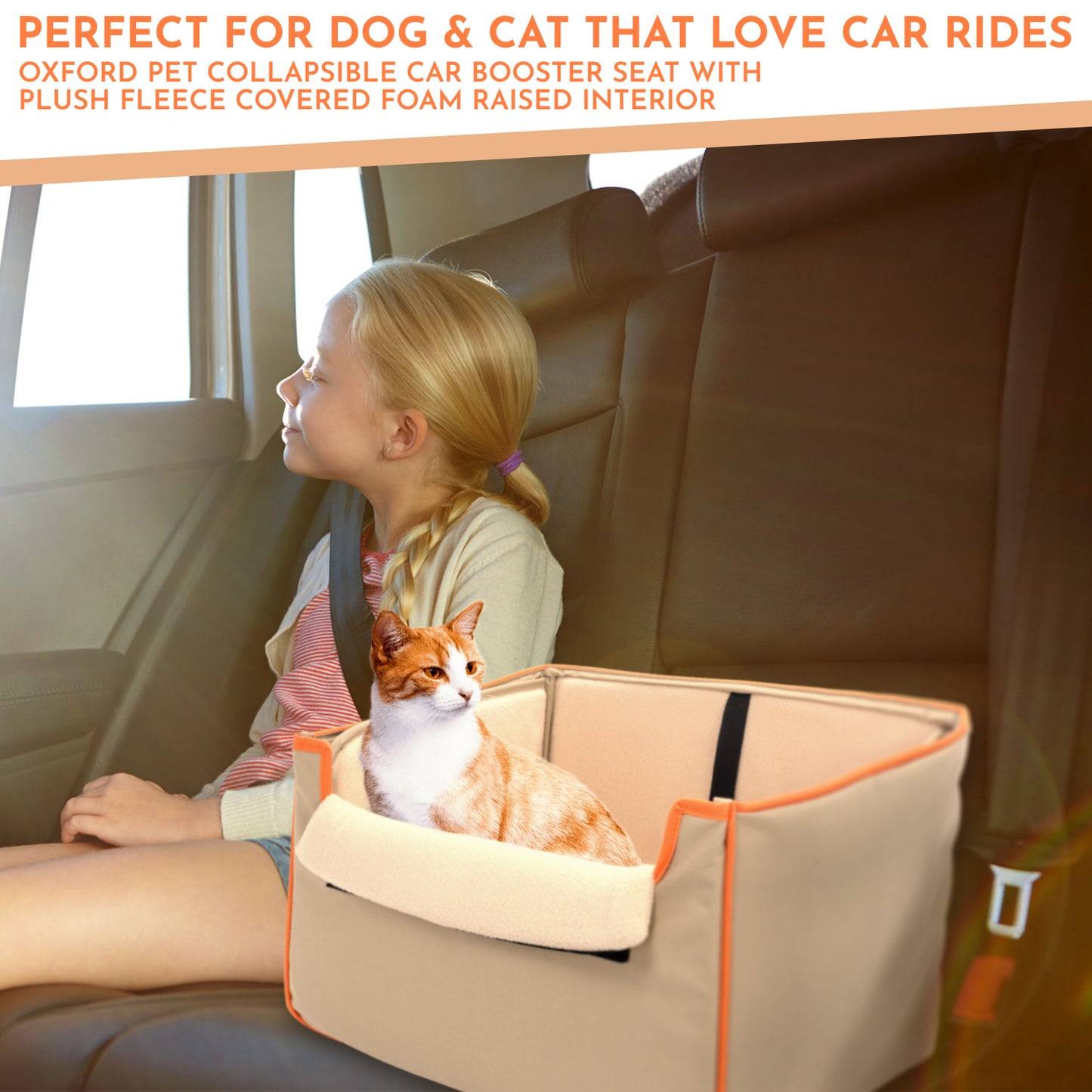 Co-Pilot Pet Car Seat  -  Collapsible and Foldable Booster Car Seats for Small - Medium Sized Dogs