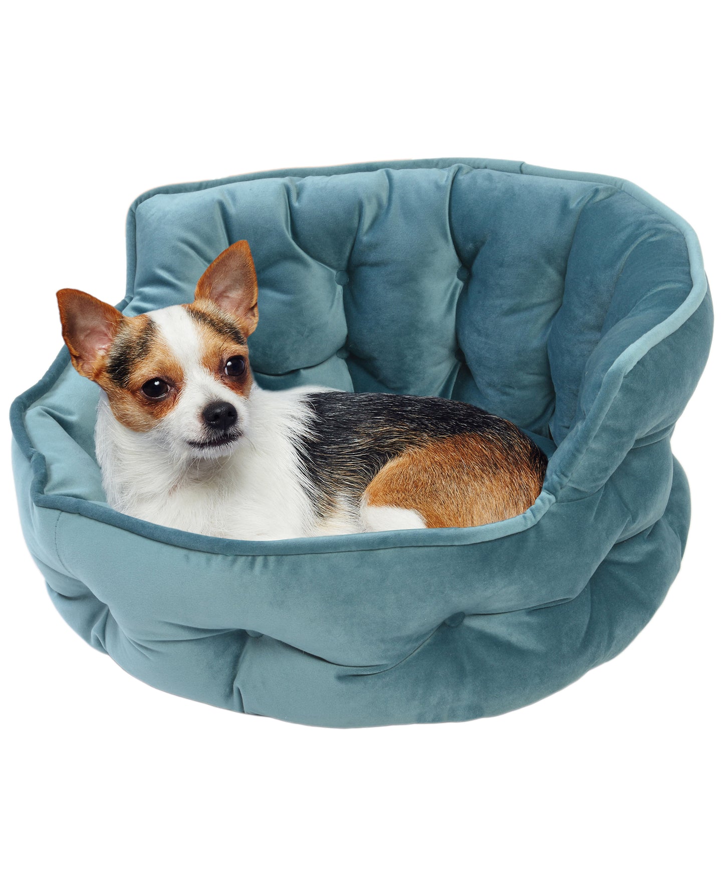 Details Round Cuddler Pet Bed, Dog Bed for Small Dogs and Cats, Ultra Plush Mini Tufted Velvet