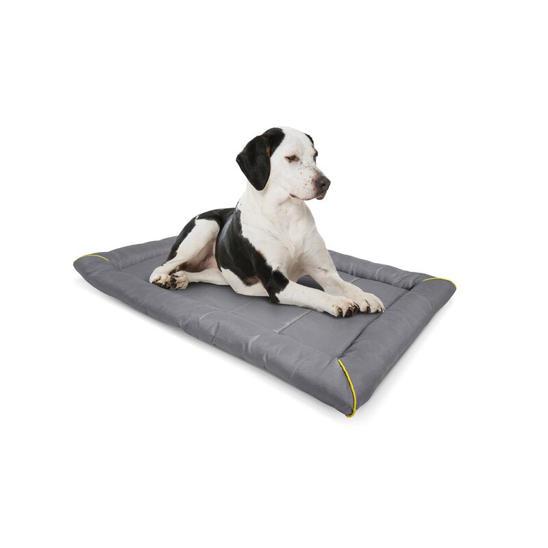 Restology Dog Beds Crate Pad for Dogs, Waterproof Extra Tuff Sleeping Mat for Pets, Soft Fluffy Pet Kennel