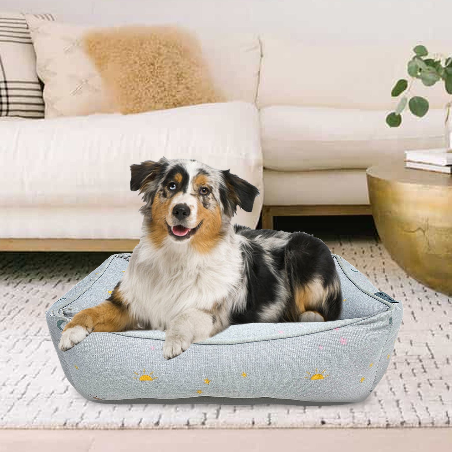 Paws and Décor Celestial Cuddler - Ultra-Plush, Comfort Printed Pet Bed for Dogs and Cats - Cozy, Durable, and Luxurious Sleep Space with Stellar Design