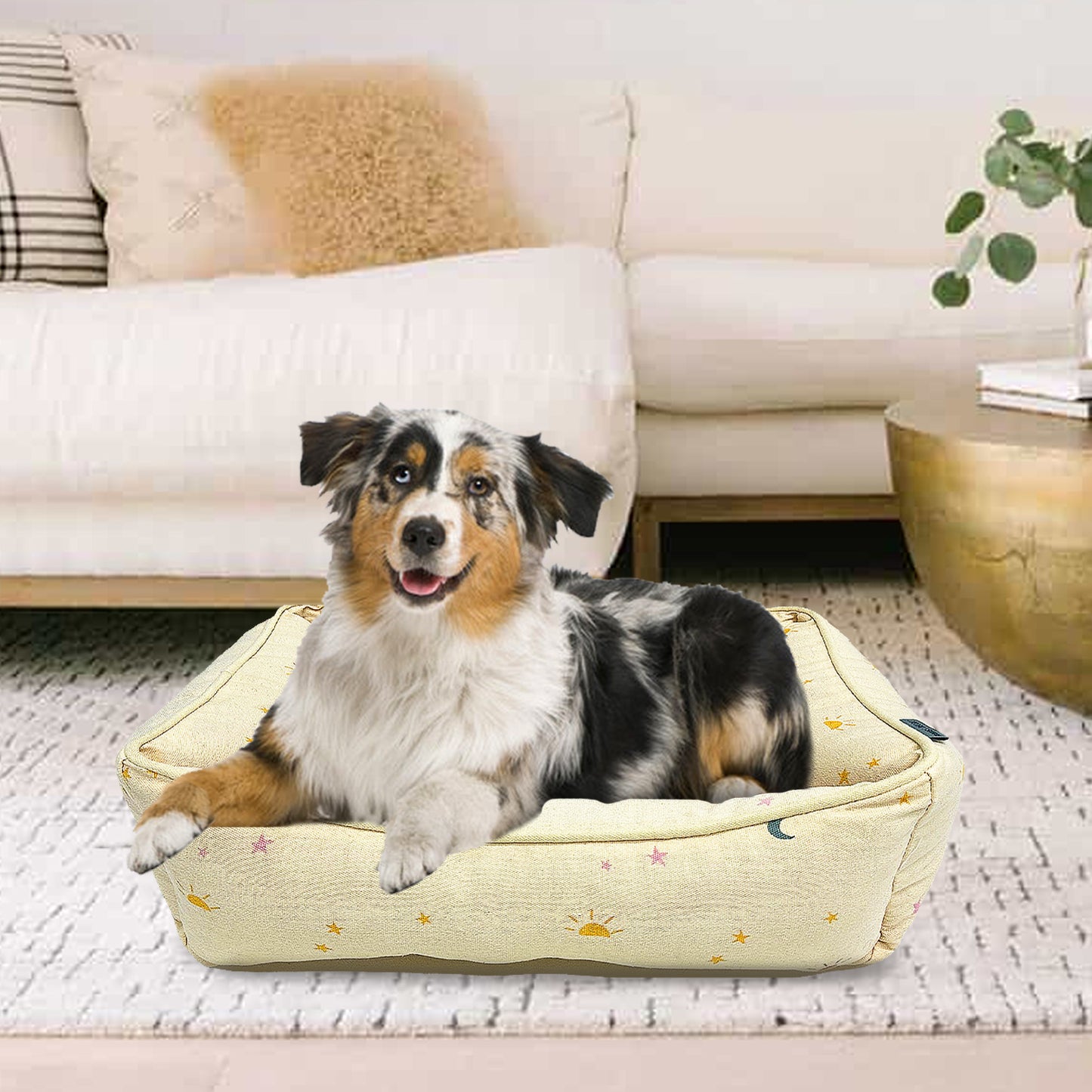 Paws and Décor Celestial Cuddler - Ultra-Plush, Comfort Printed Pet Bed for Dogs and Cats - Cozy, Durable, and Luxurious Sleep Space with Stellar Design