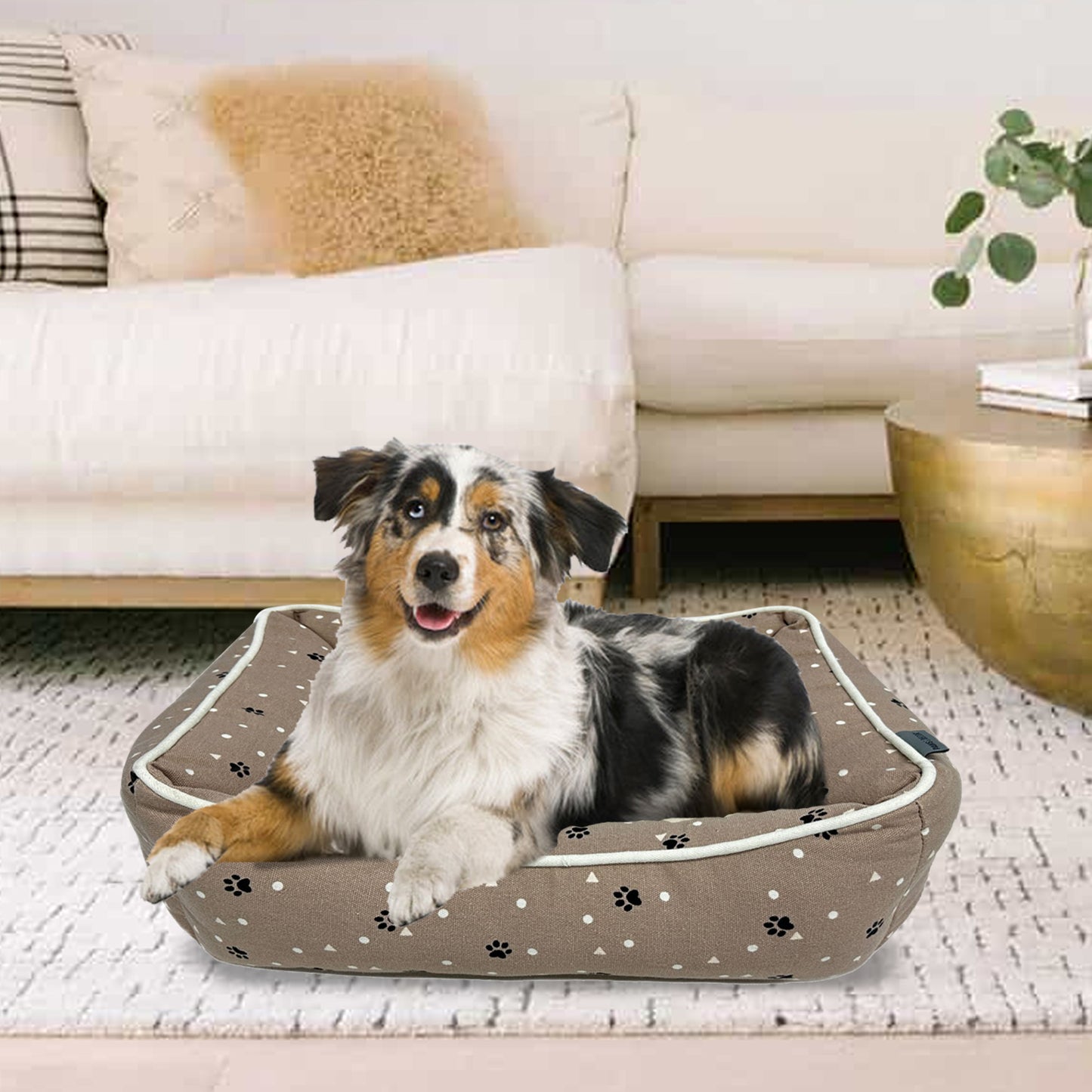 Paws and Décor All Over Paws and Dots Cuddler - Ultra-Plush, Comfort Printed Pet Bed for Dogs and Cats - Cozy, Durable, and Luxurious Sleep Space with Stellar Design