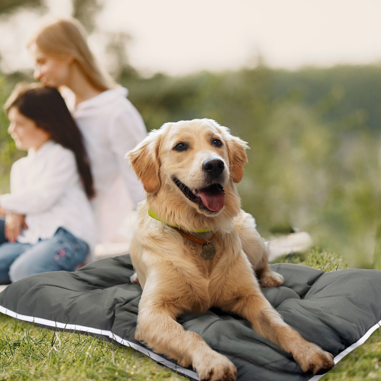 Co-Pilot Waterproof Dog Bed - Chew Proof Pet Bed - Durable Outdoor Mat for Dogs, Heavy Duty, Ideal for Travel