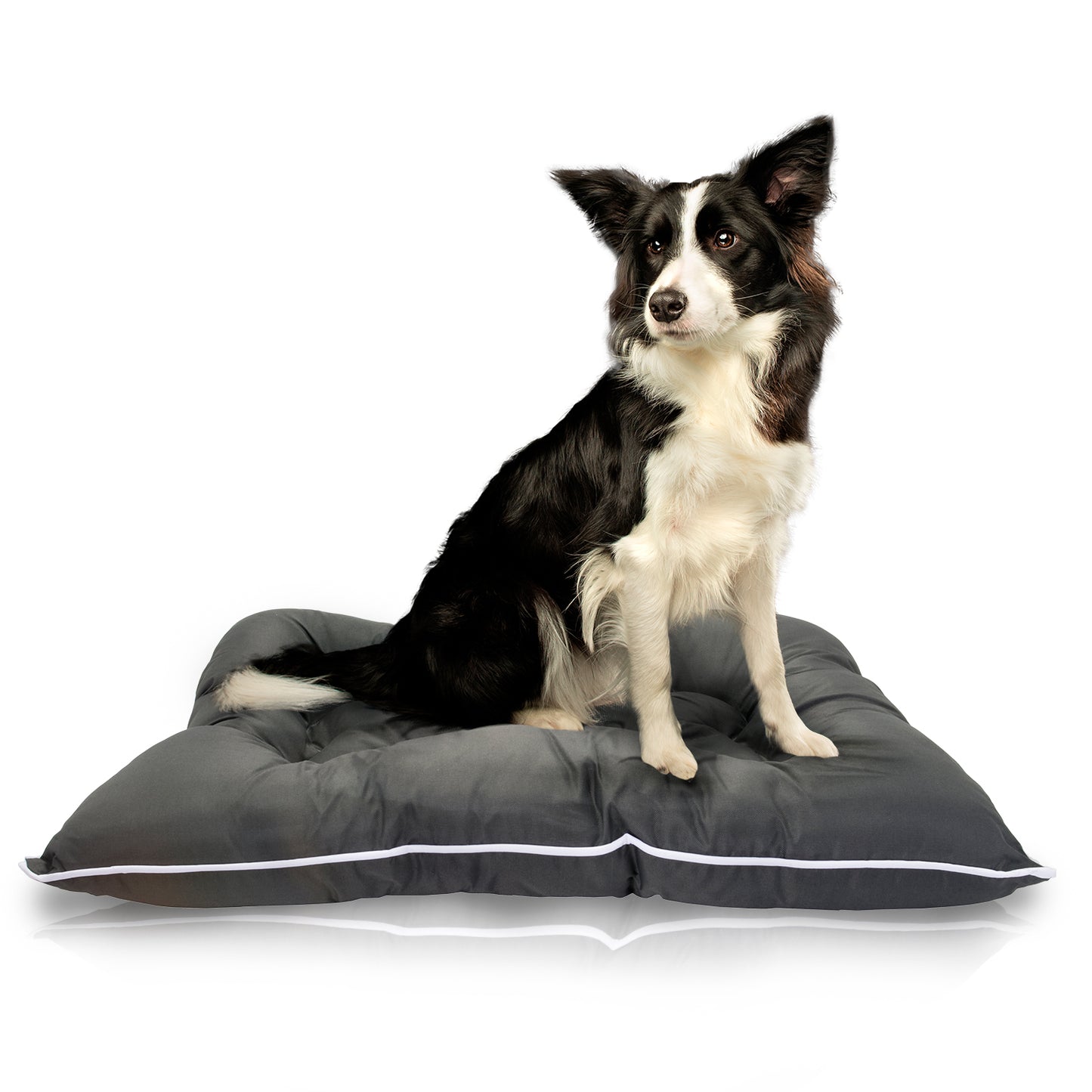 Co-Pilot Waterproof Dog Bed - Chew Proof Pet Bed - Durable Outdoor Mat for Dogs, Heavy Duty, Ideal for Travel