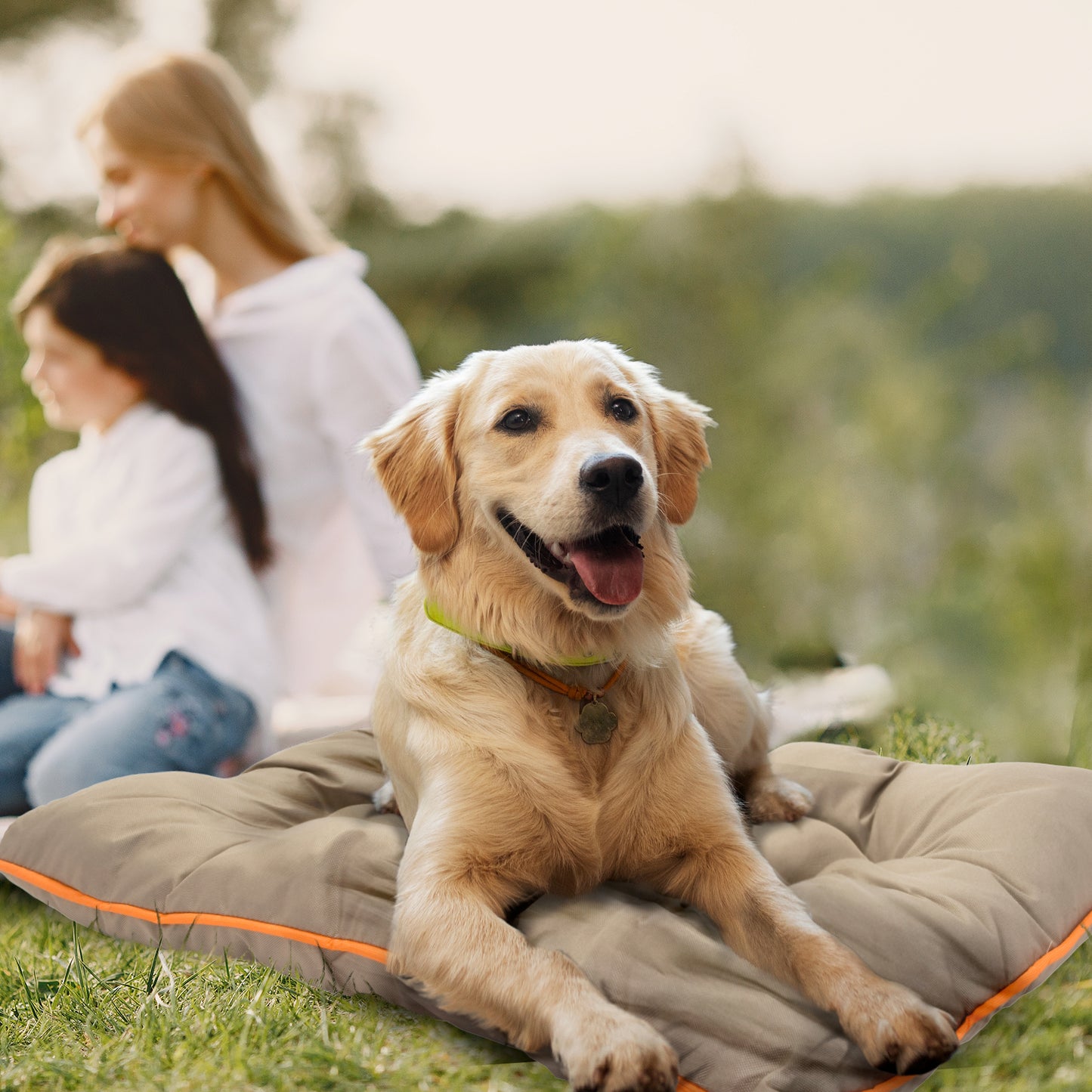 Co-Pilot Waterproof Dog Bed - Chew Proof Pet Bed - Durable Outdoor Mat for Dogs, Heavy Duty, Ideal for Travel