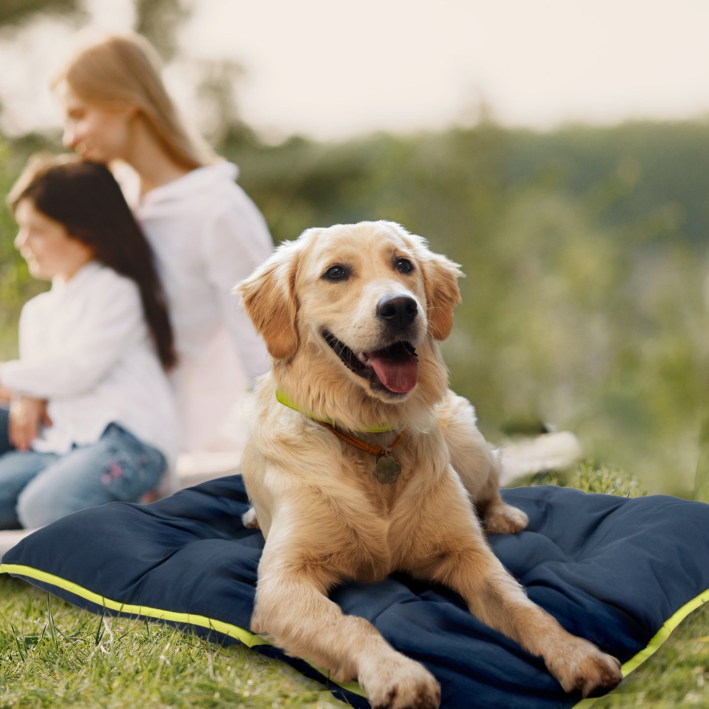 Co-Pilot Waterproof Dog Bed - Chew Proof Pet Bed - Durable Outdoor Mat for Dogs, Heavy Duty, Ideal for Travel