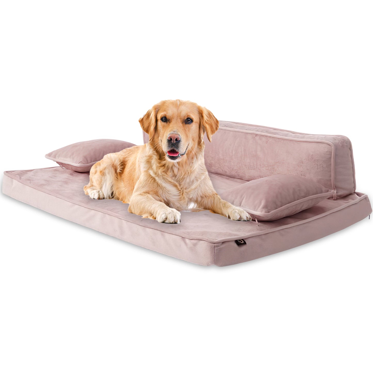 Precious Tails Orthopedic Pet Bed - Stylish Beds for Cats and Dogs,  Modern Sofa Couch for Small-Medium Dog