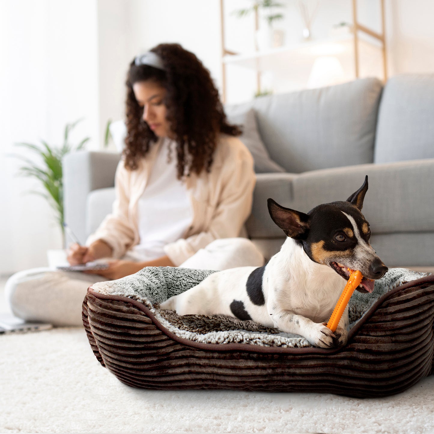 Details Dog Bed for Small  Dogs, Rectangle Durable Sleeping Calming Cuddler for Pets, Super Plush Corduroy Sherpa