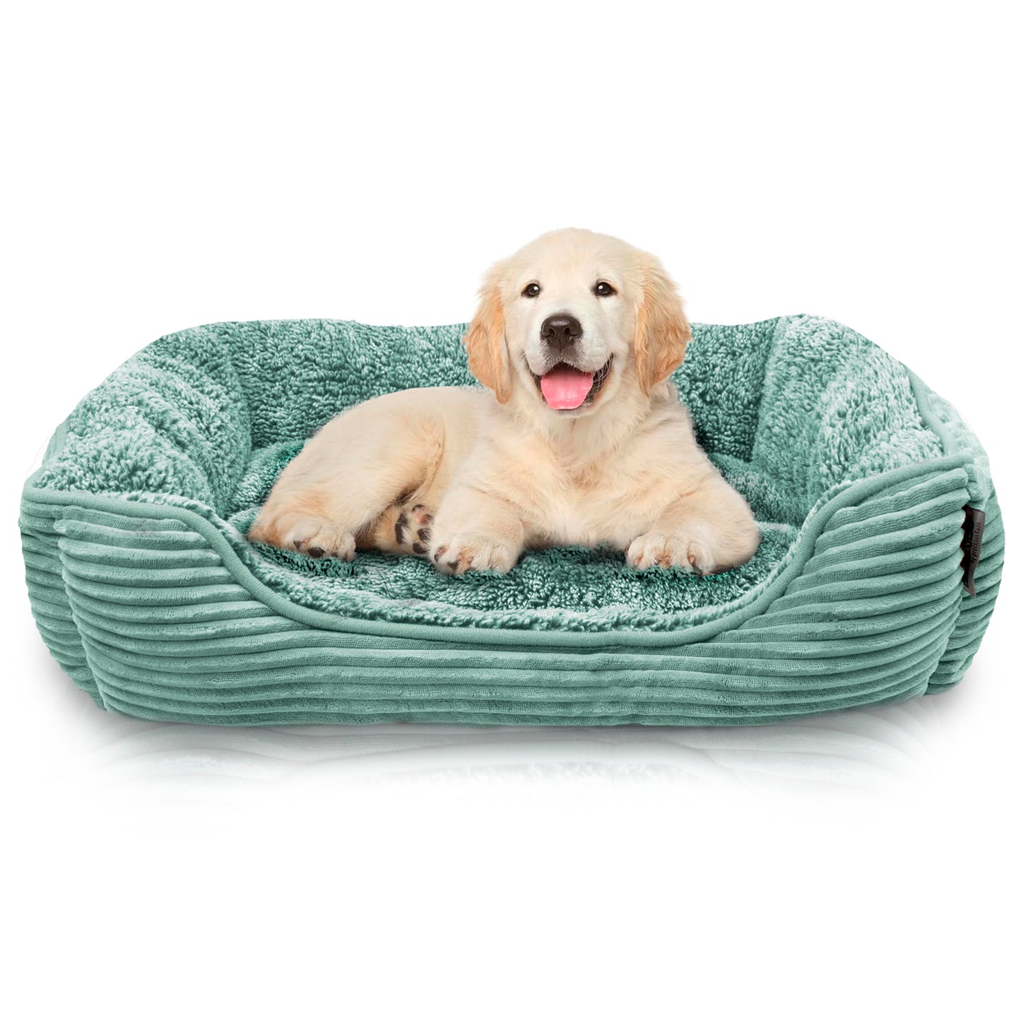 Details Dog Bed for Small  Dogs, Rectangle Durable Sleeping Calming Cuddler for Pets, Super Plush Corduroy Sherpa