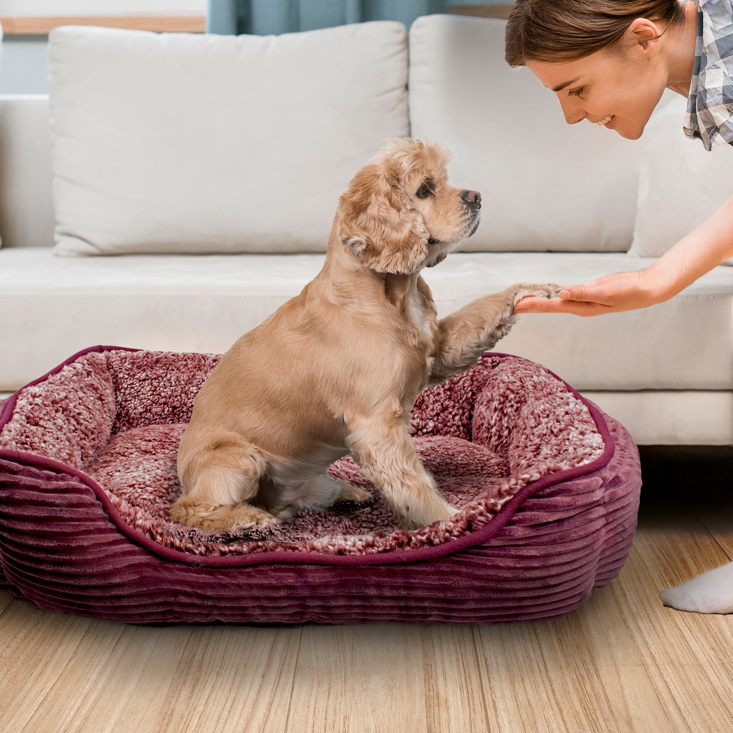 Details Dog Bed for Small  Dogs, Rectangle Durable Sleeping Calming Cuddler for Pets, Super Plush Corduroy Sherpa