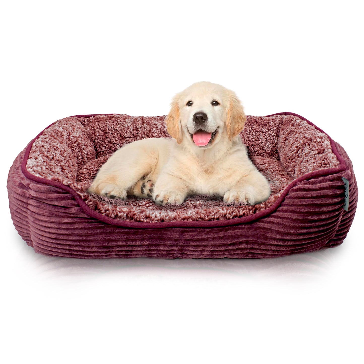 Details Dog Bed for Small  Dogs, Rectangle Durable Sleeping Calming Cuddler for Pets, Super Plush Corduroy Sherpa