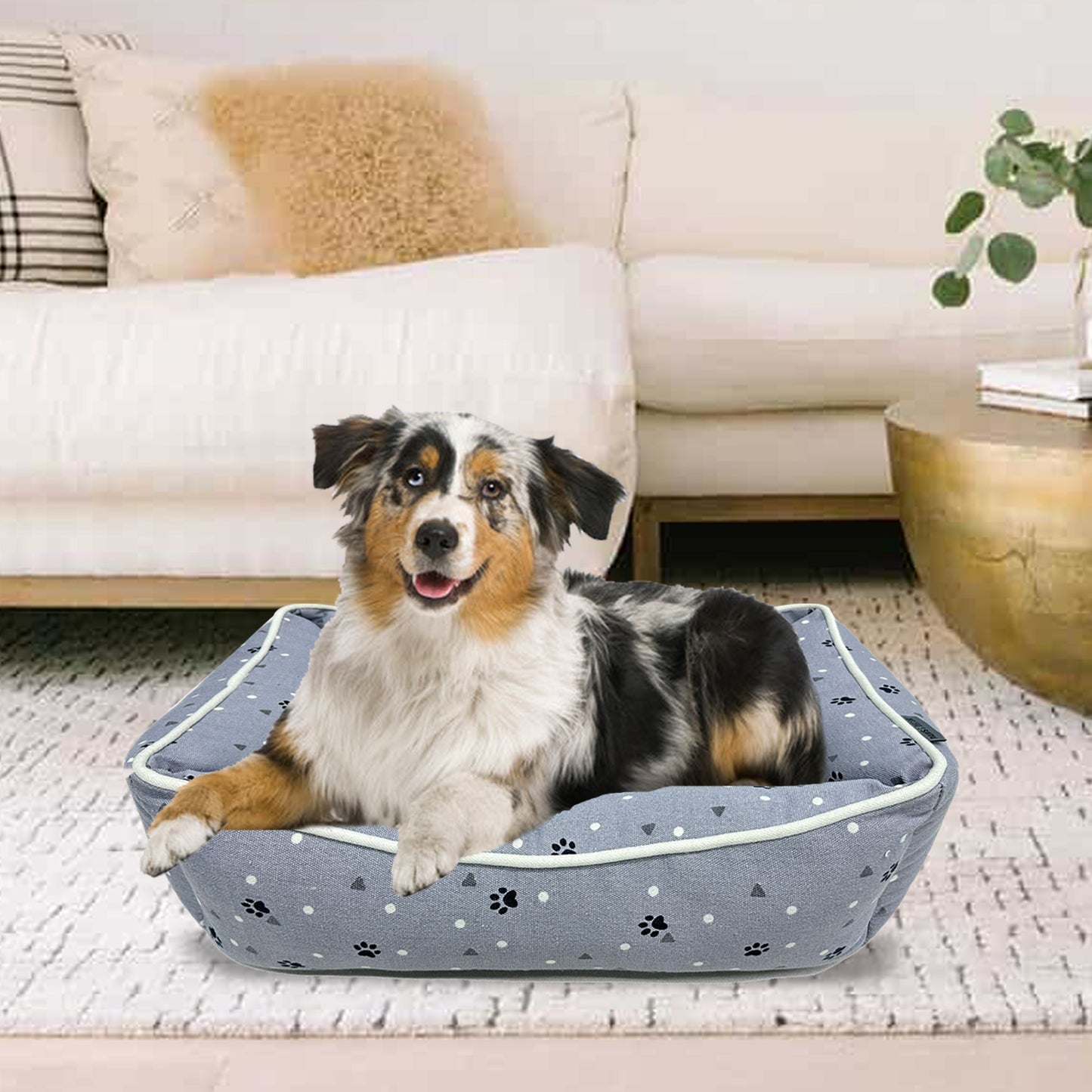 Paws and Décor All Over Paws and Dots Cuddler - Ultra-Plush, Comfort Printed Pet Bed for Dogs and Cats - Cozy, Durable, and Luxurious Sleep Space with Stellar Design