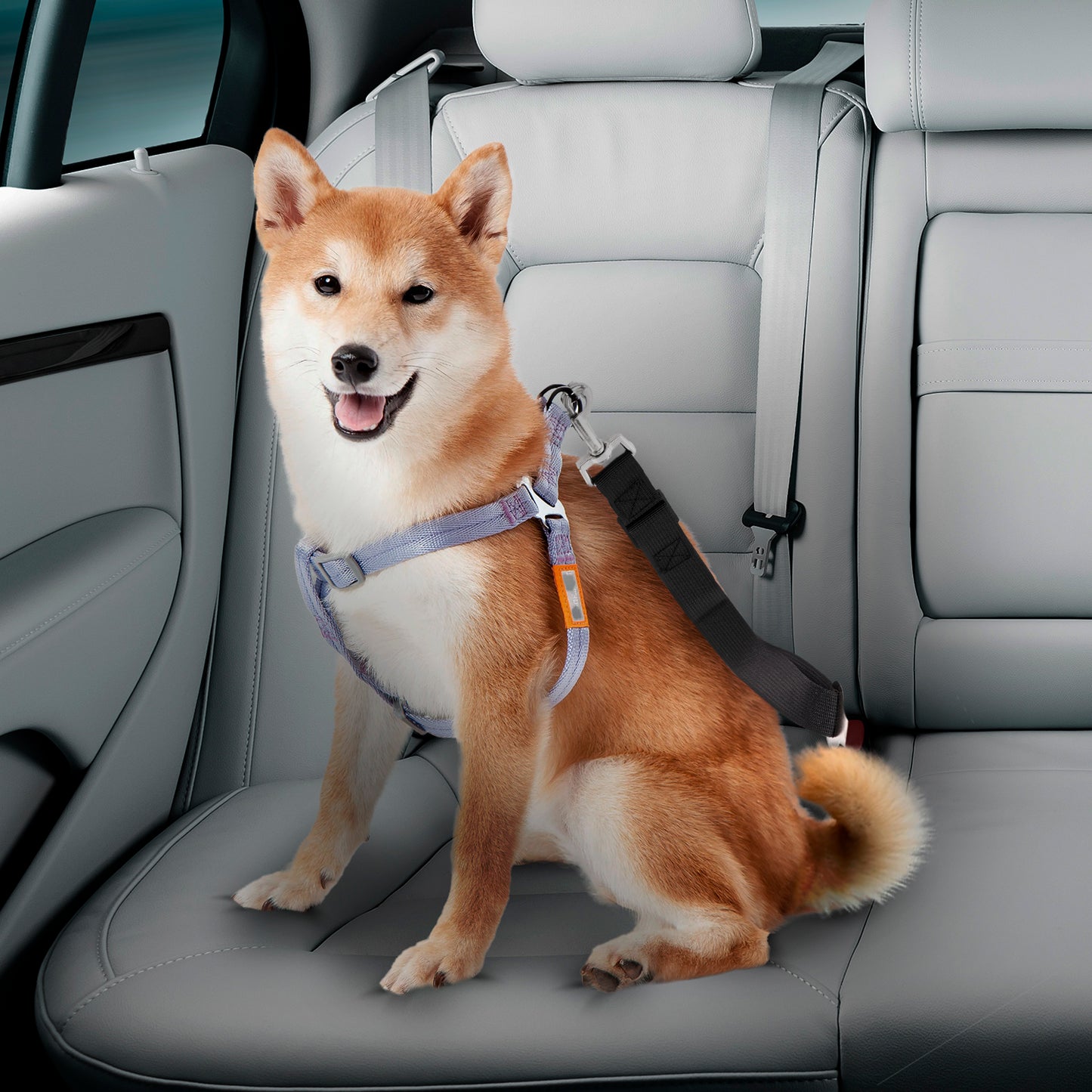 Co-Pilot Dog Seat Belt - Car Harness for Dogs - Adjustable Safety Leash Pet Seatbelt,  Durable, Made of Nylon