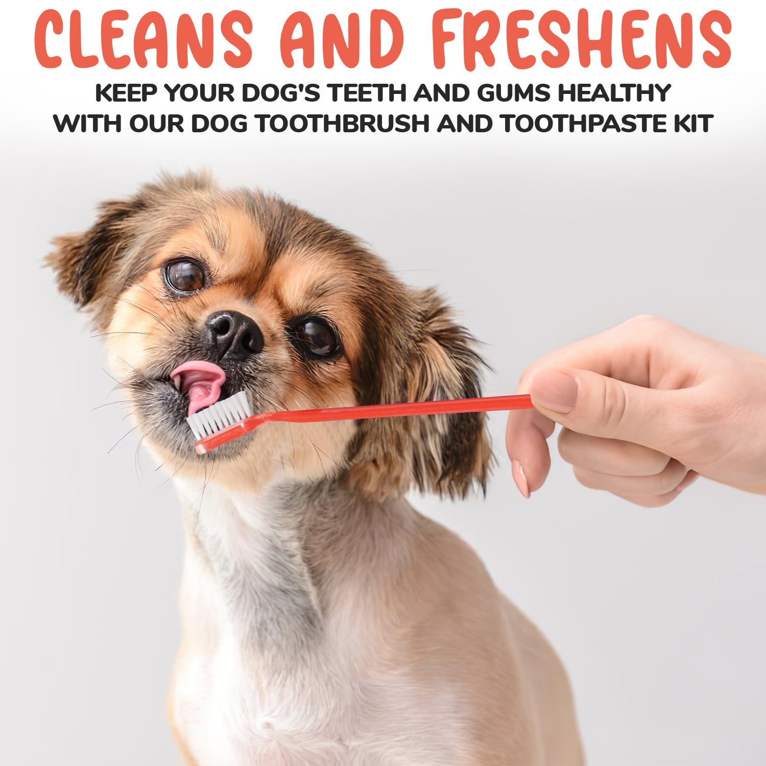 Can you brush dogs teeth with normal snoppy toothpaste