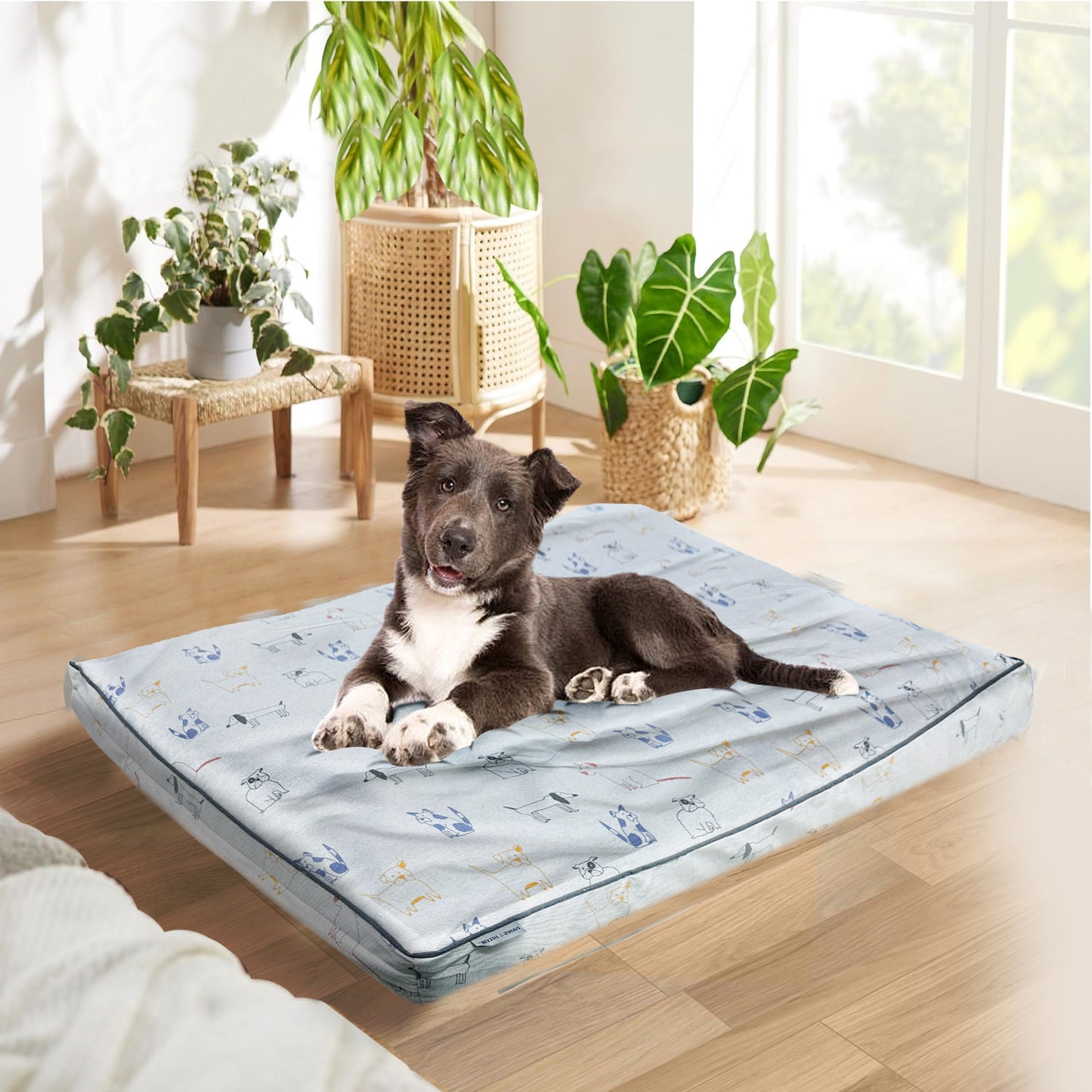 Paws and Décor Orthopedic Dog Bed - Enhanced Joint Support with Outlined Dog Design, Durable High-Density Foam Mattress for Comfort For Dogs.