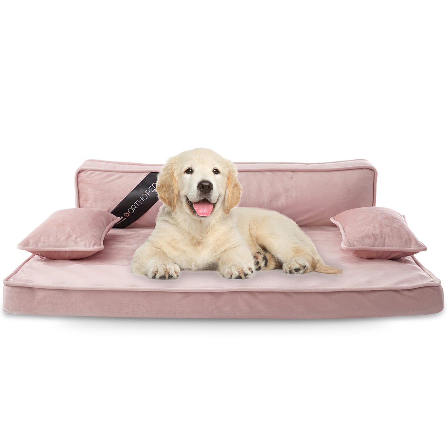 Precious Tails Orthopedic Pet Bed - Stylish Beds for Cats and Dogs,  Modern Sofa Couch for Small-Medium Dog