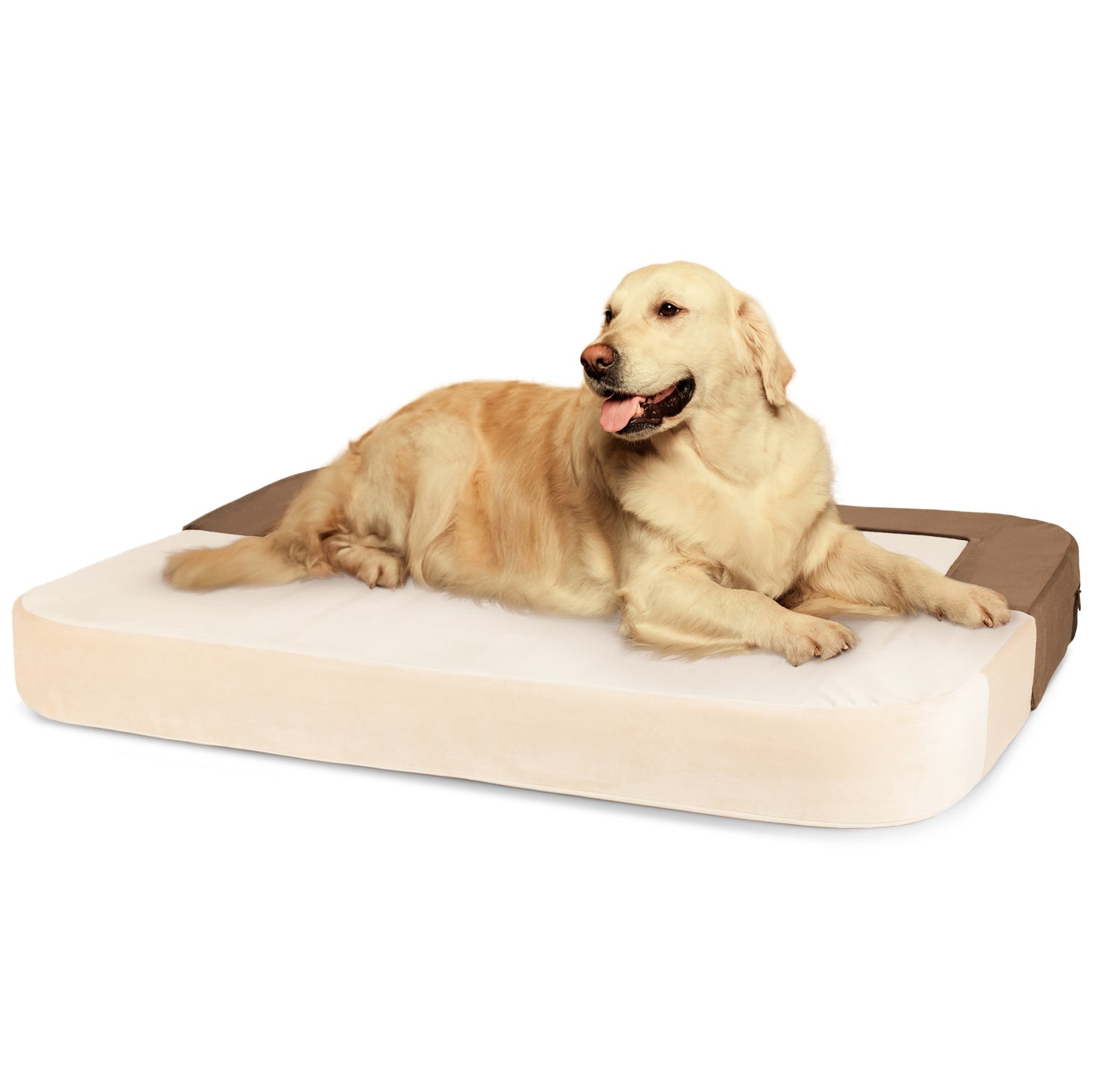 Restology Orthopedic Dog Bed, Convertible to Sofa Beds for Small Dogs, Foam Velvet Pet Bed Mat