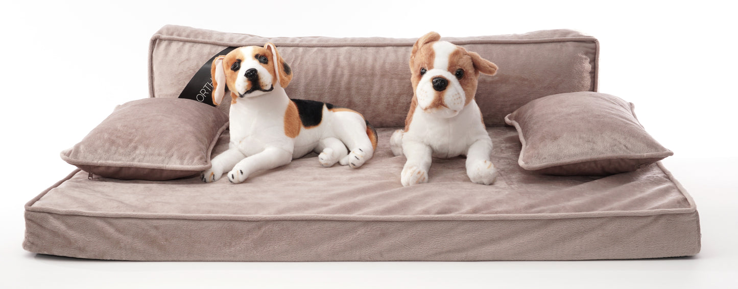 Precious Tails Orthopedic Pet Bed - Stylish Beds for Cats and Dogs,  Modern Sofa Couch for Small-Medium Dog