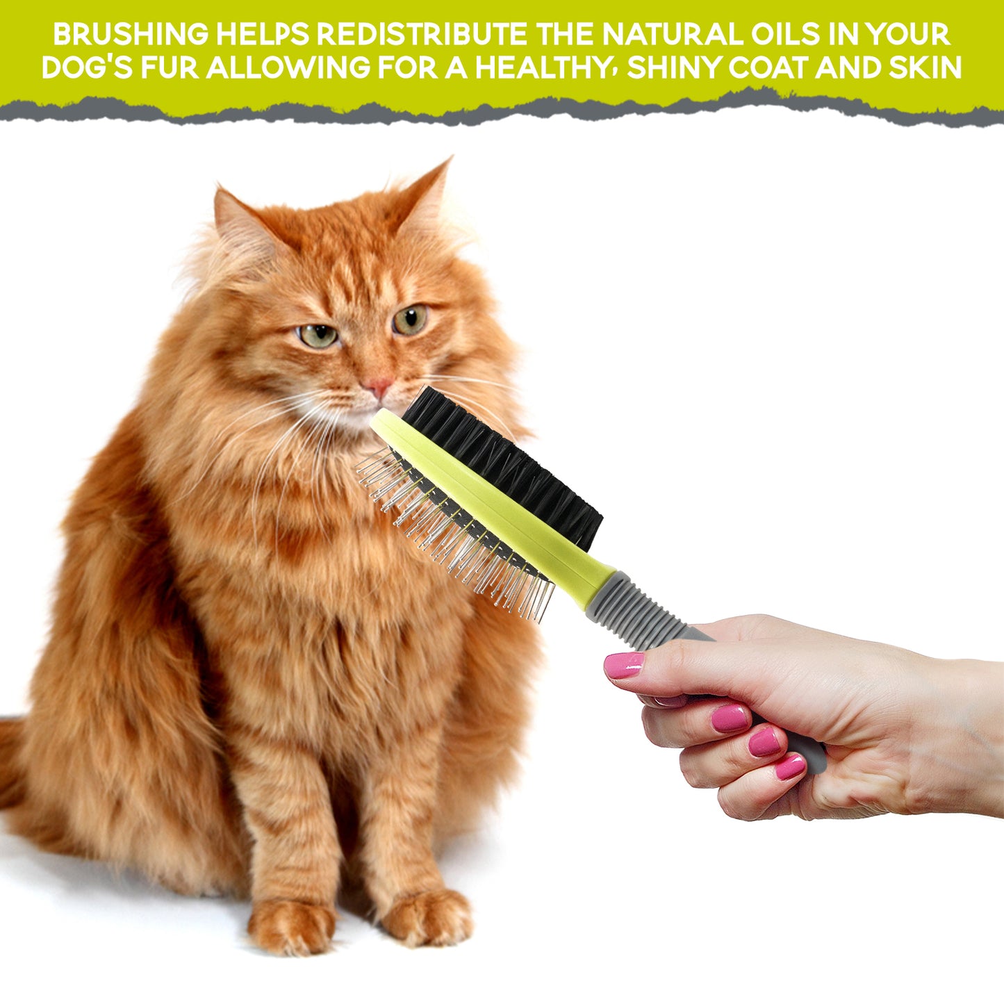 Precious Tails 3-Piece Pet Grooming Kit for Dogs and Cats, Brush Set for Removing Tangled Fur