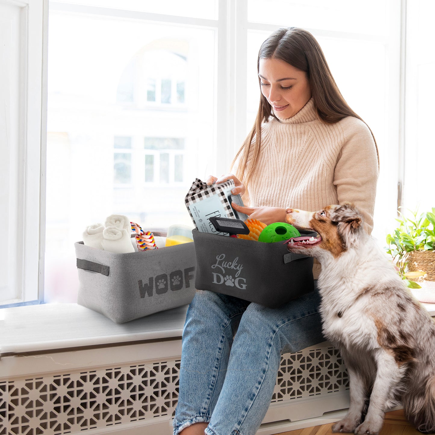 Home Base 3 Pack Dog Toy Storage Basket Bins, Collapsible Box Organizer for Organizing Pet Accessories, Clothes, Clothing