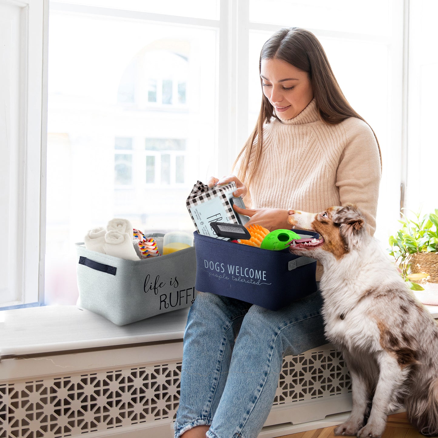 Home Base 3 Pack Dog Toy Storage Basket Bins, Collapsible Box Organizer for Organizing Pet Accessories, Clothes, Clothing