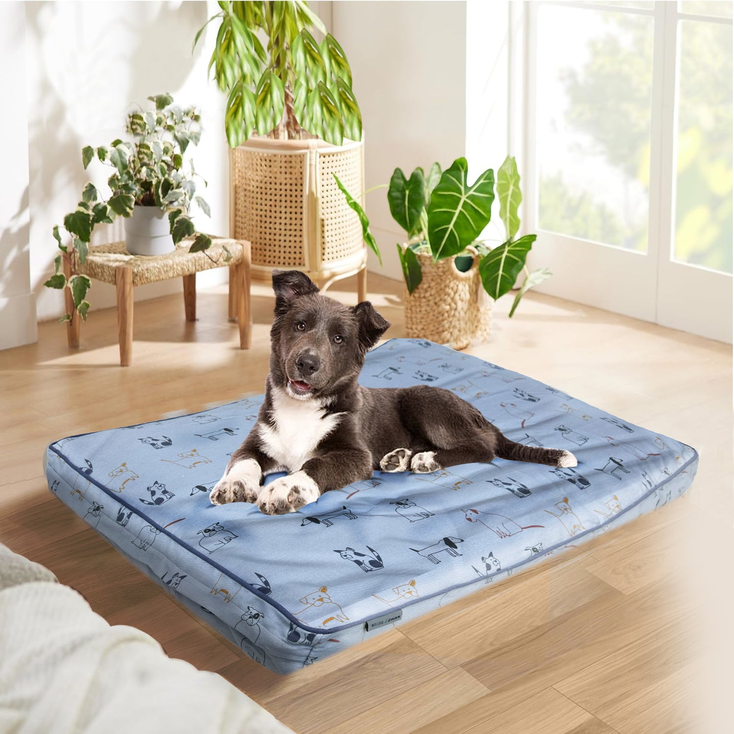 Paws and Décor Orthopedic Dog Bed - Enhanced Joint Support with Outlined Dog Design, Durable High-Density Foam Mattress for Comfort For Dogs.