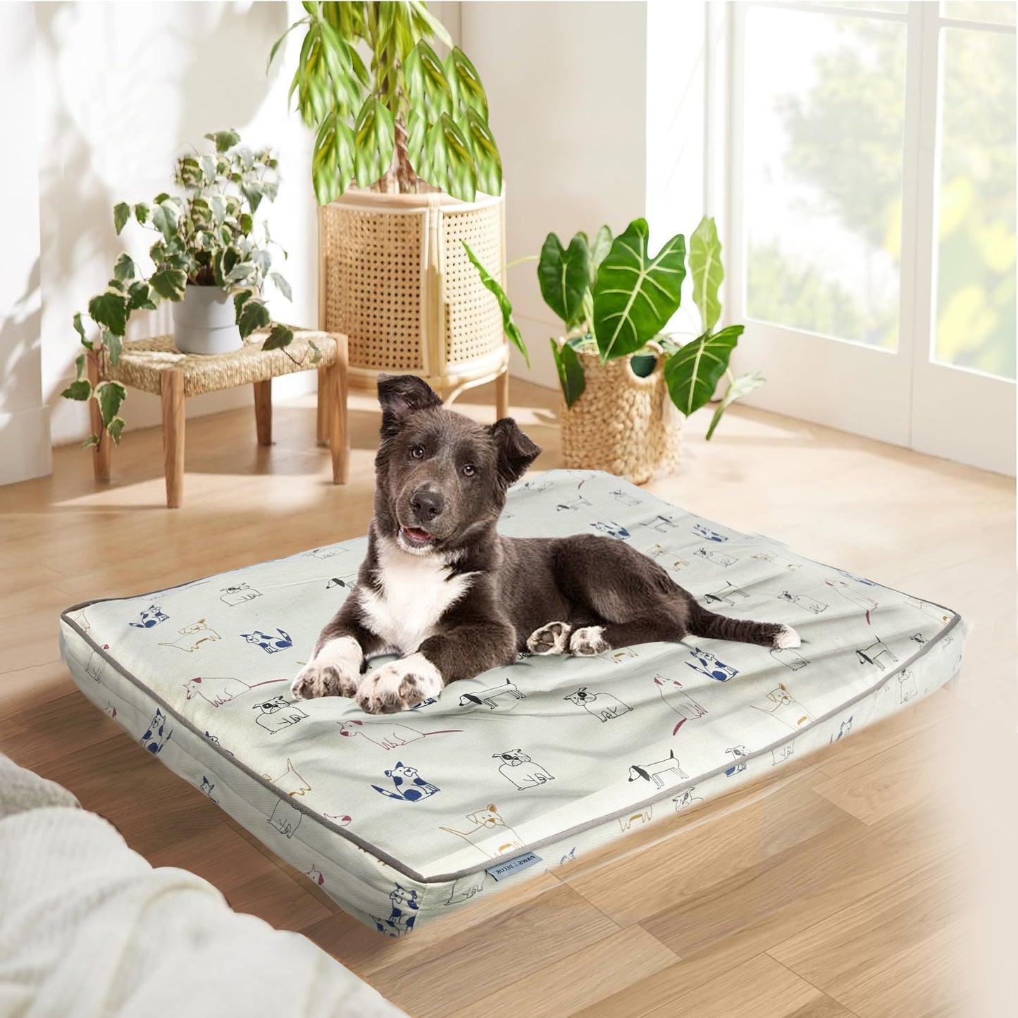 Paws and Décor Orthopedic Dog Bed - Enhanced Joint Support with Outlined Dog Design, Durable High-Density Foam Mattress for Comfort For Dogs.