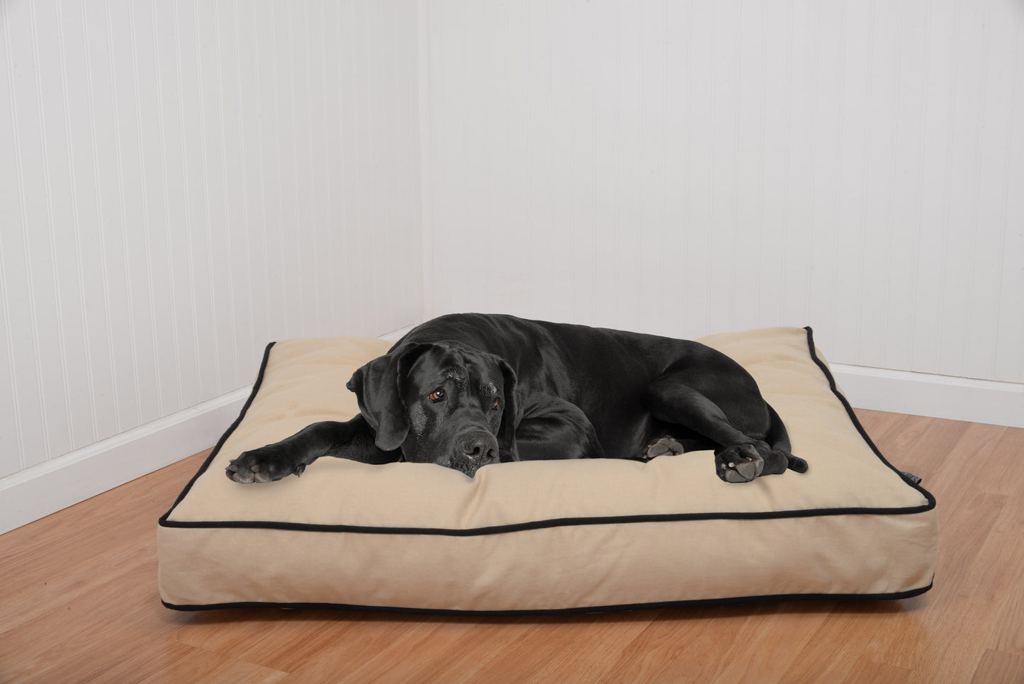 Precious Tails "Reserved" Orthopedic Foam Canvas Pillow Bed