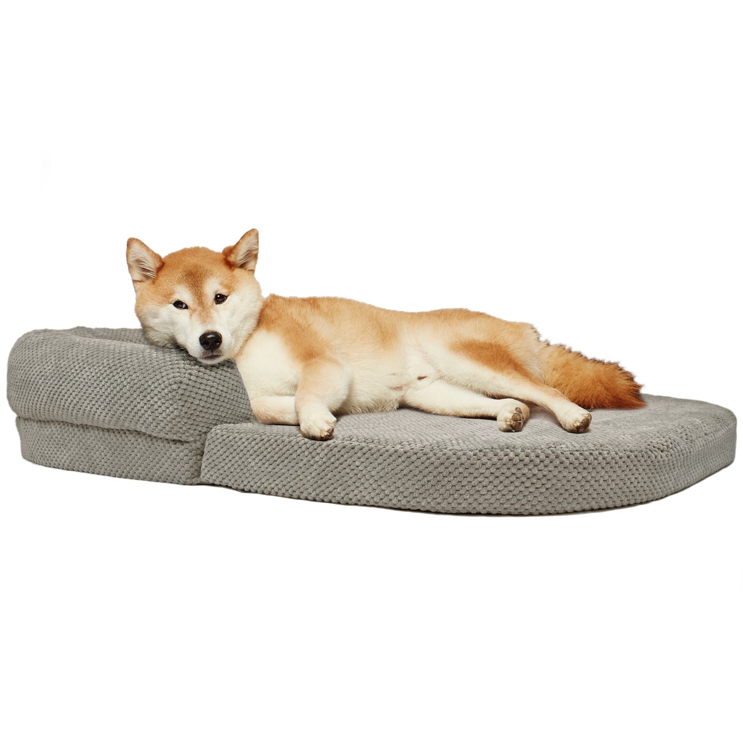 Precious Tails Orthopedic Bolstered Fold Out Round Chaise Dog Bed