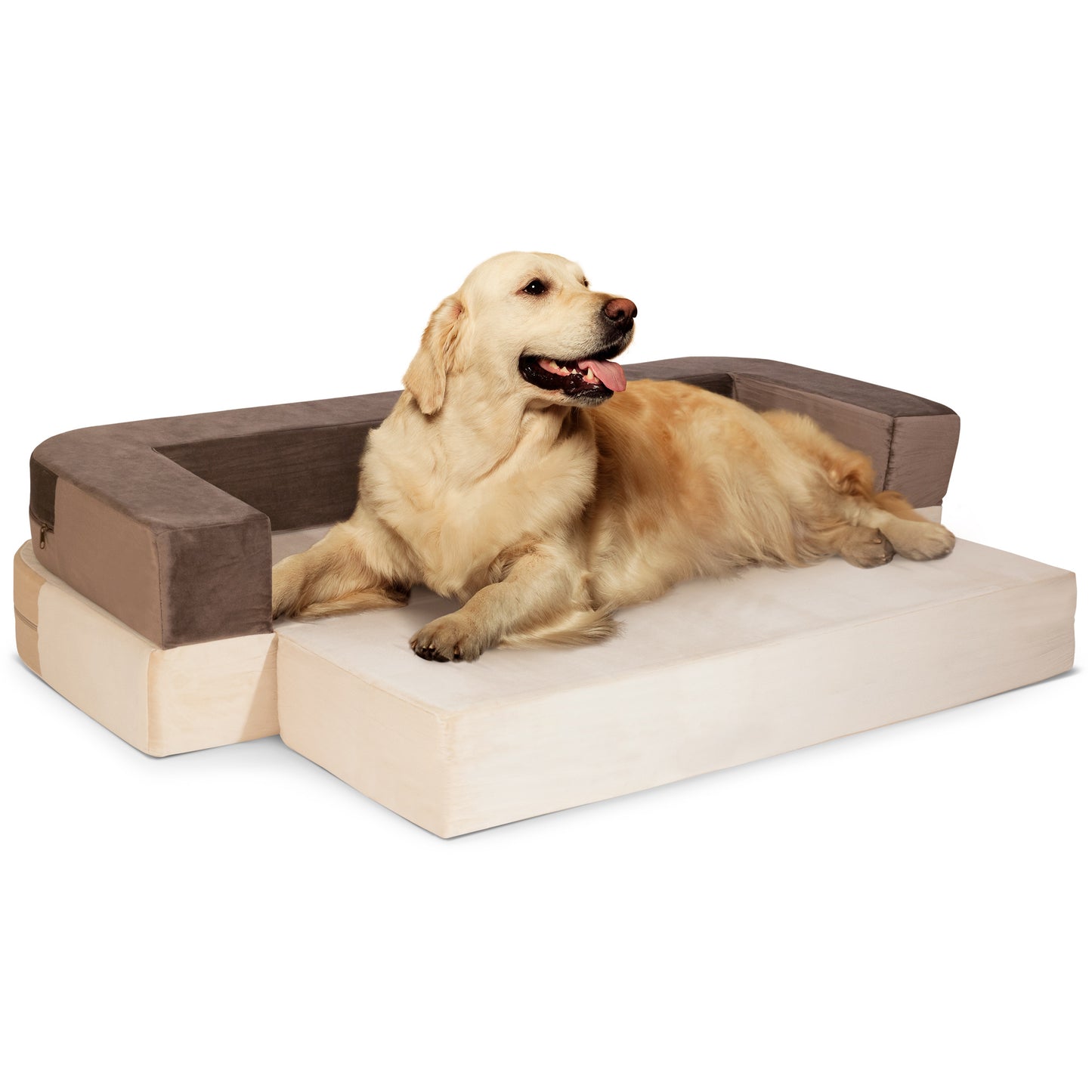 Restology Orthopedic Dog Bed, Convertible to Sofa Beds for Small Dogs, Foam Velvet Pet Bed Mat