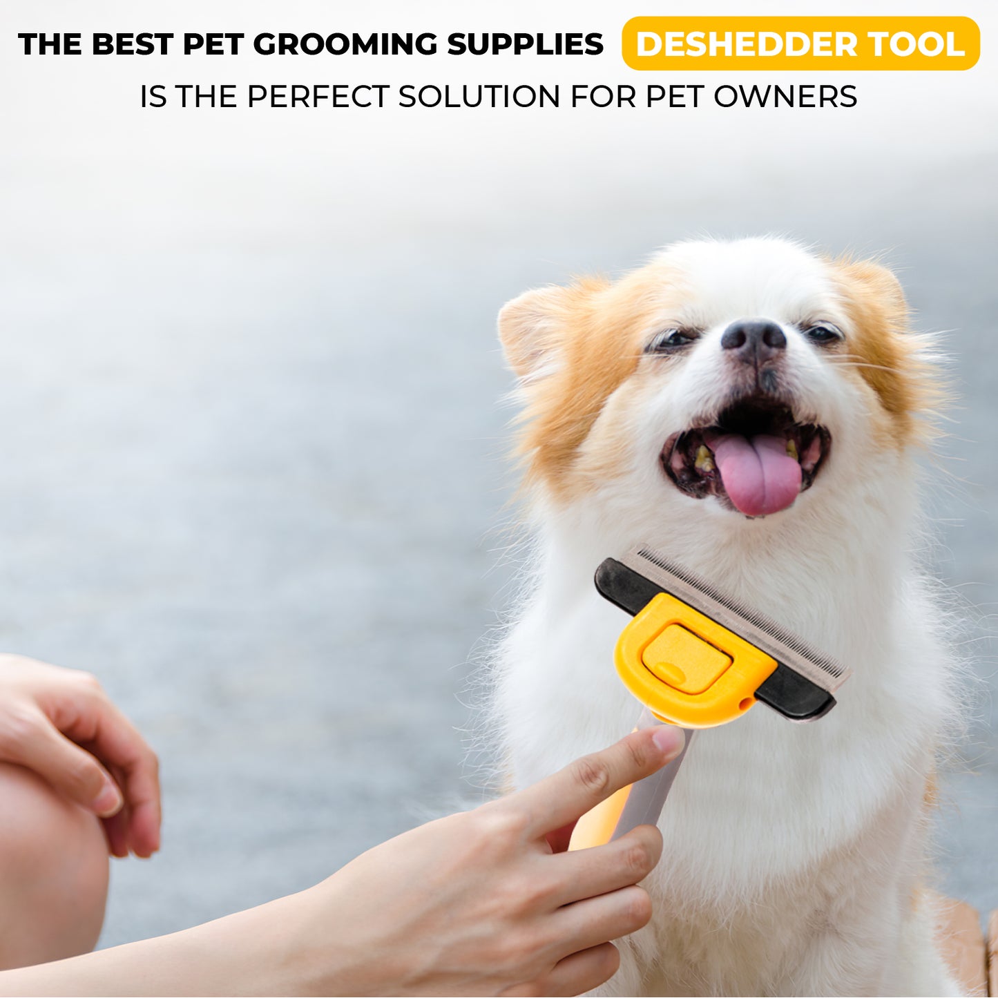 Precious Tails Pet Grooming Brush,  Deshedding Tool for Cats and Dogs, Dematting Undercoat Rake, Dog Brush for Shedding, Reduce Shedding