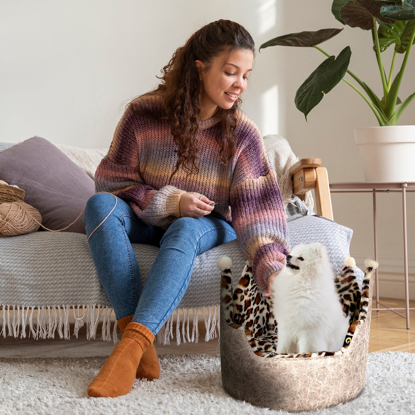 Dream Black Label Leopard Print Crown Dog Bed, Washable Round Cat Bed, Elegant Royal Design, Indoor Cuddler Pet Beds for Puppy and Kitten