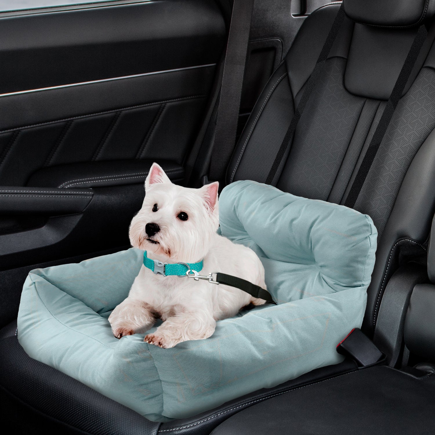 Aldi dog car harness hotsell