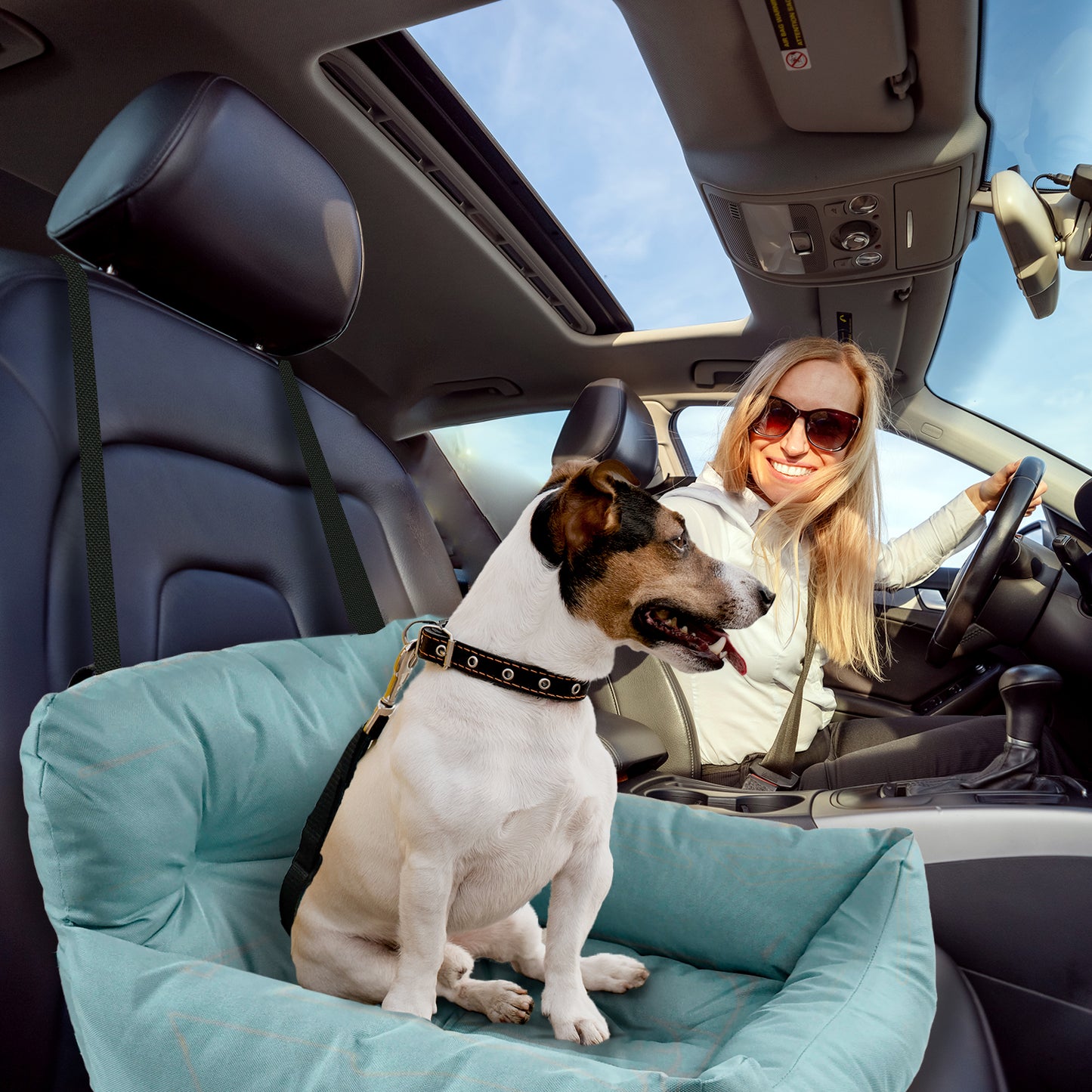 Co-Pilot Dog Beds for Cars -  Booster Safety Car Seats for Small Dogs - Travel Pet Bed, Seat Belt Compatible