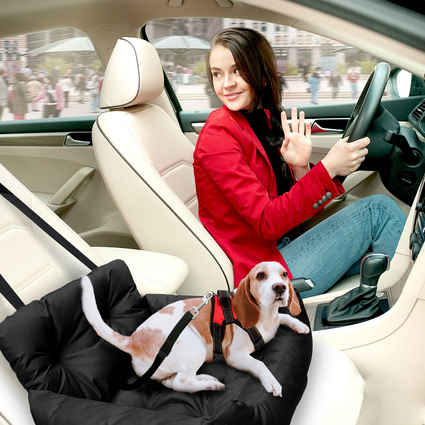 Co-Pilot Dog Beds for Cars -  Booster Safety Car Seats for Small Dogs - Travel Pet Bed, Seat Belt Compatible