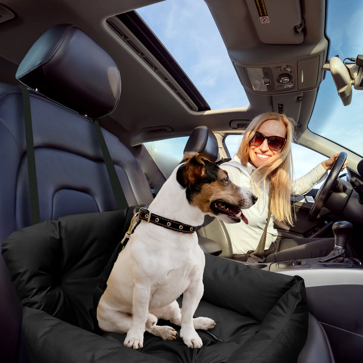 Co-Pilot Dog Beds for Cars -  Booster Safety Car Seats for Small Dogs - Travel Pet Bed, Seat Belt Compatible