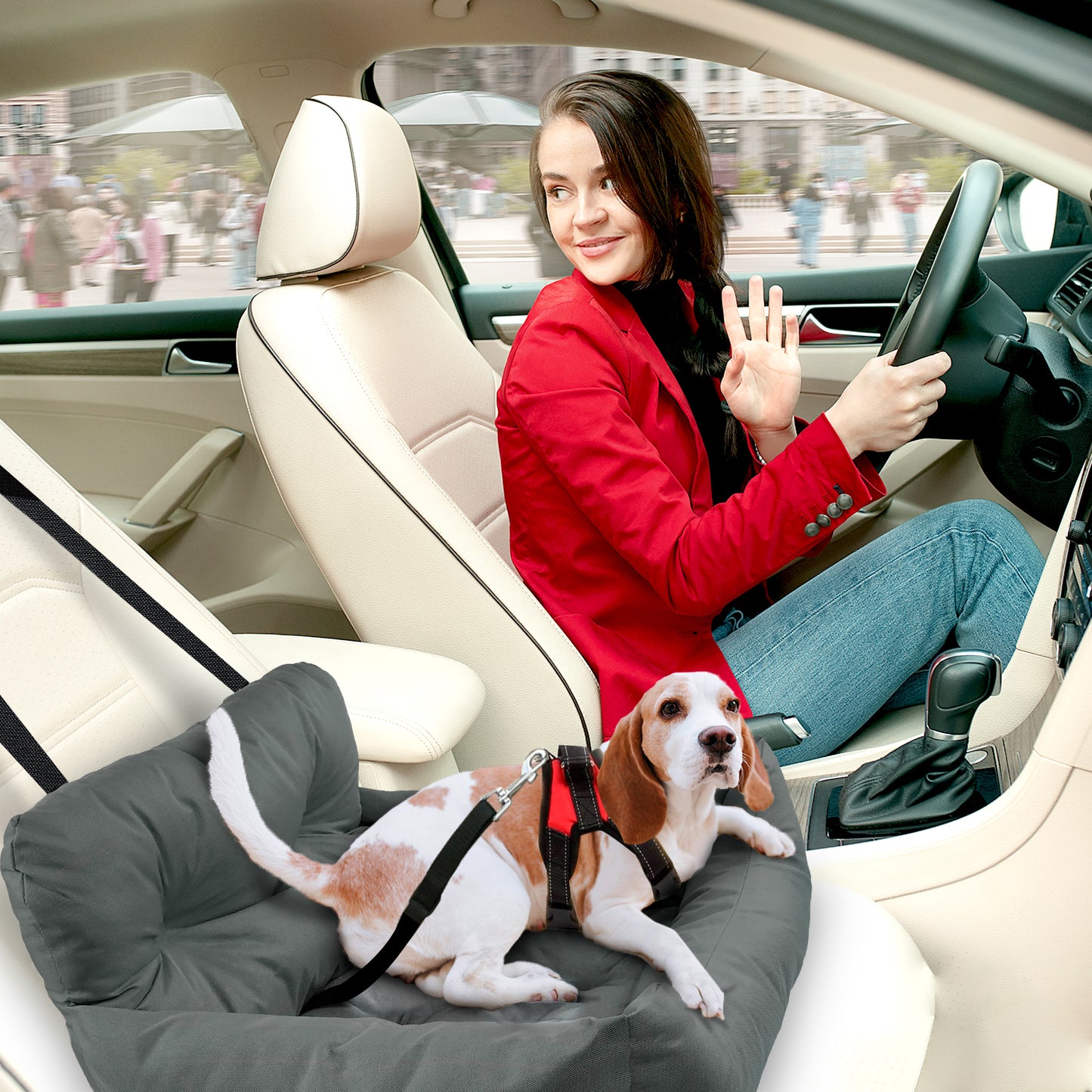 Co-Pilot Dog Beds for Cars -  Booster Safety Car Seats for Small Dogs - Travel Pet Bed, Seat Belt Compatible