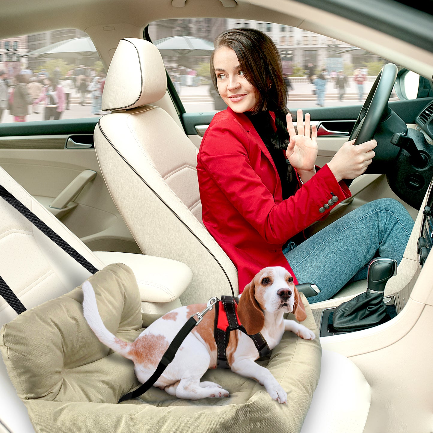 Co-Pilot Dog Beds for Cars -  Booster Safety Car Seats for Small Dogs - Travel Pet Bed, Seat Belt Compatible