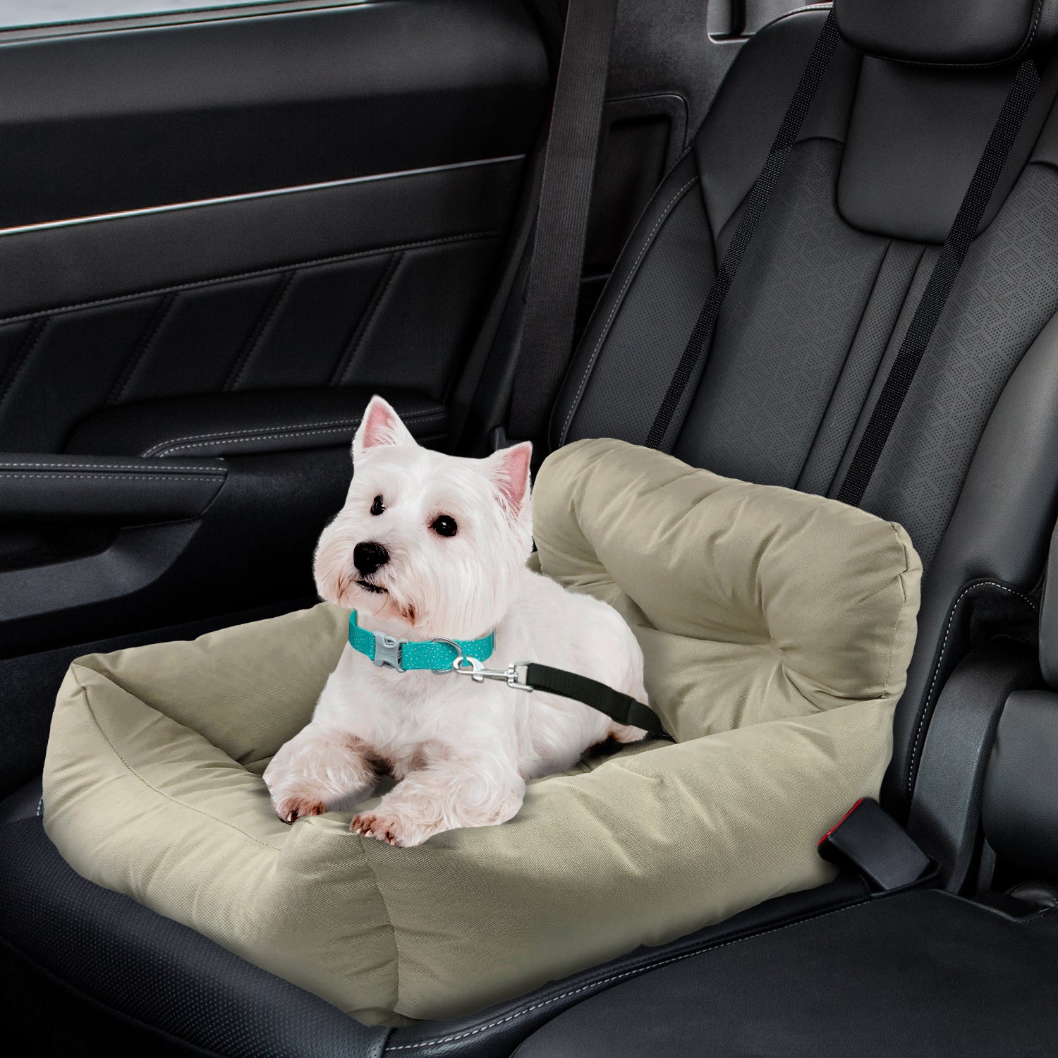 Co pilot pet travel booster seat hotsell