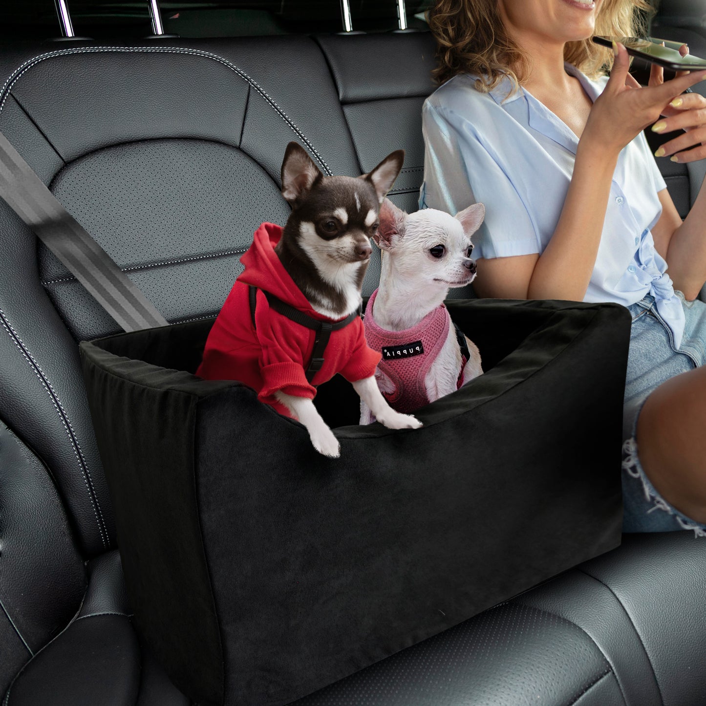 Co-Pilot Dog Car Seat - Washable Booster Seats for Small Dogs - Pet Car Seats Travel Bed for Truck &  SUV