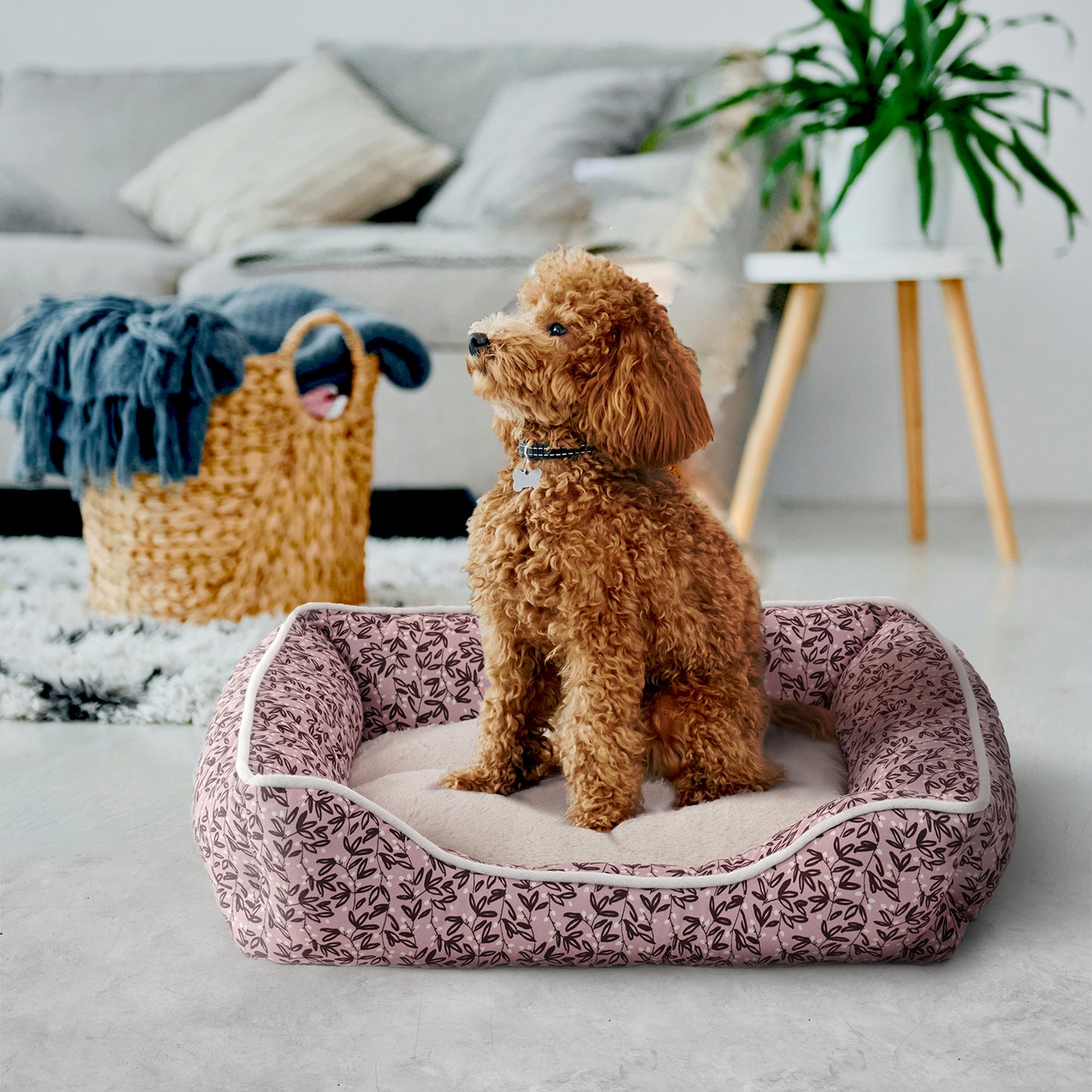 Elle Cuddler Dog Beds for Small Dogs - Washable Pet Bed for Cat and Dog, Printed Microsuede with Plush Center