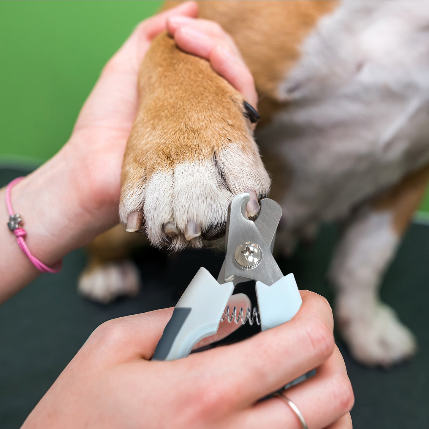 Ocean Plastic by PT Eco-Friendly Pet Nail Clipper, Sustainable Grooming Tool for Dogs and Cats