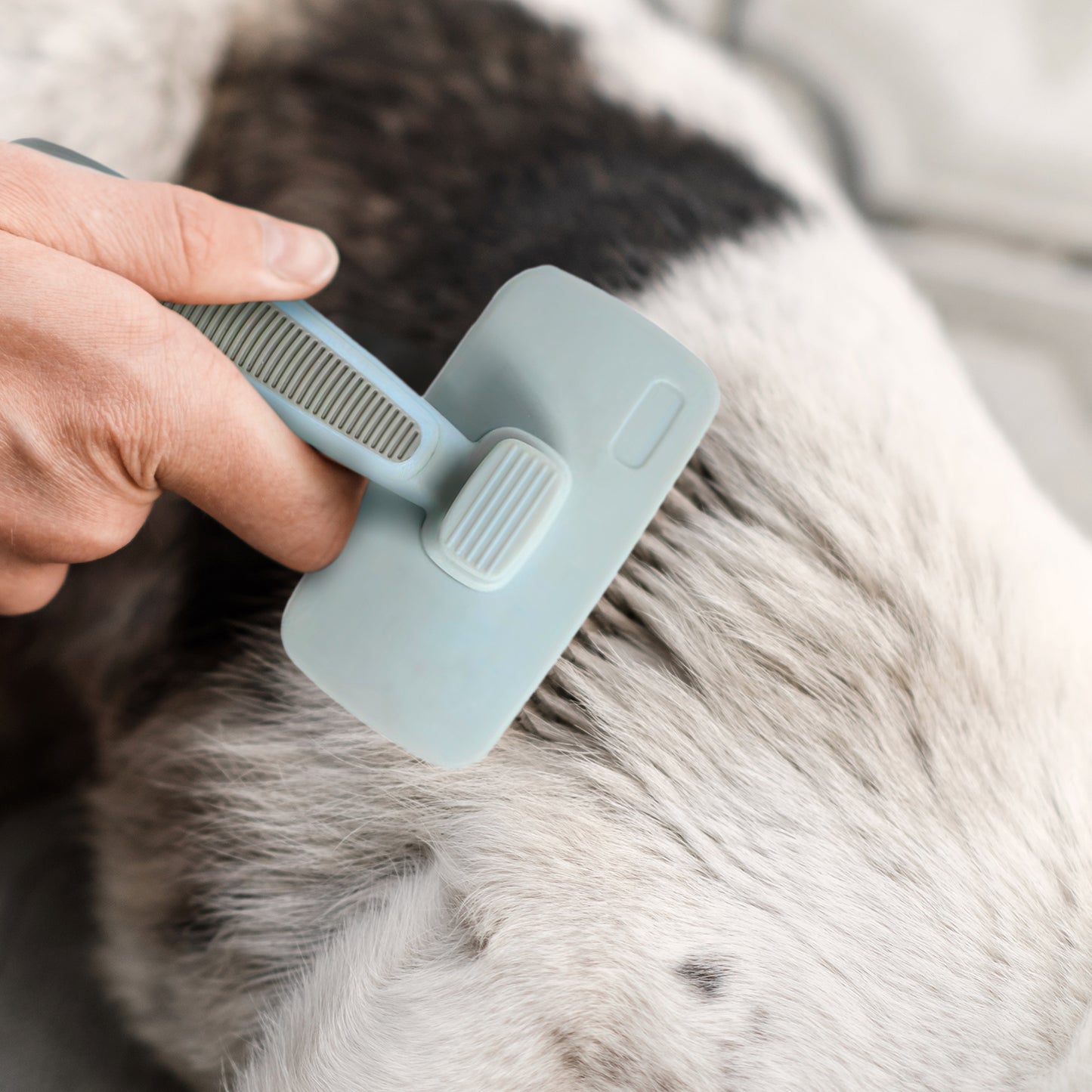 Ocean Plastic by PT Self-Cleaning Slicker Brush for Pets, Retractable Head, Eco-Friendly Grooming Tool for Dogs and Cats