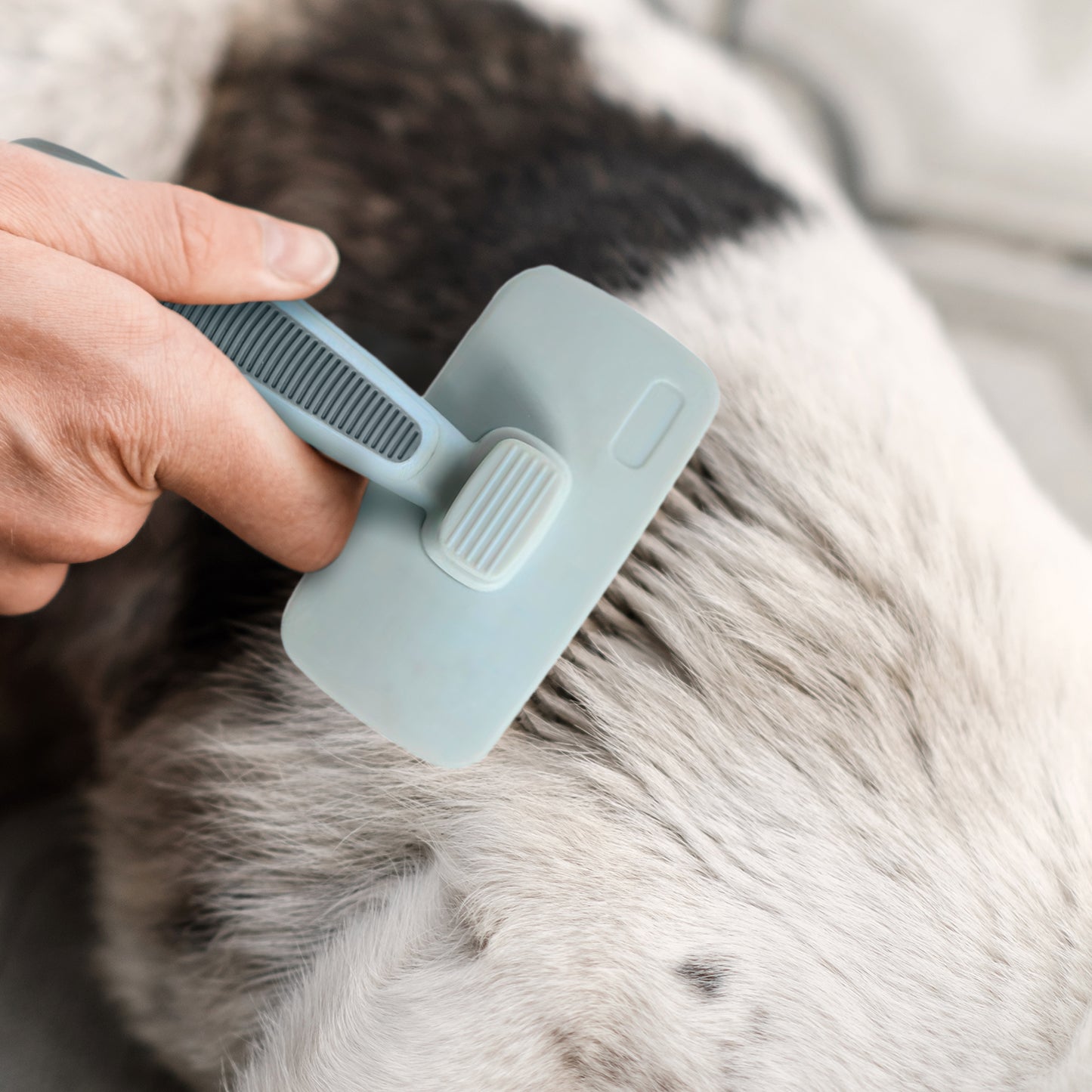 Ocean Plastic by PT Self-Cleaning Slicker Brush for Pets, Retractable Head, Eco-Friendly Grooming Tool for Dogs and Cats