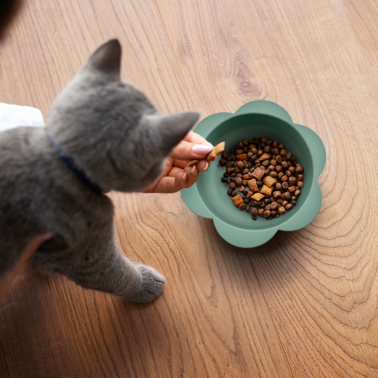 P.T. Supply Co. Flower Shaped Silicone Pet Bowl, with Non-Slip Suction Base, Durable Feeding Dish for Dogs & Cats