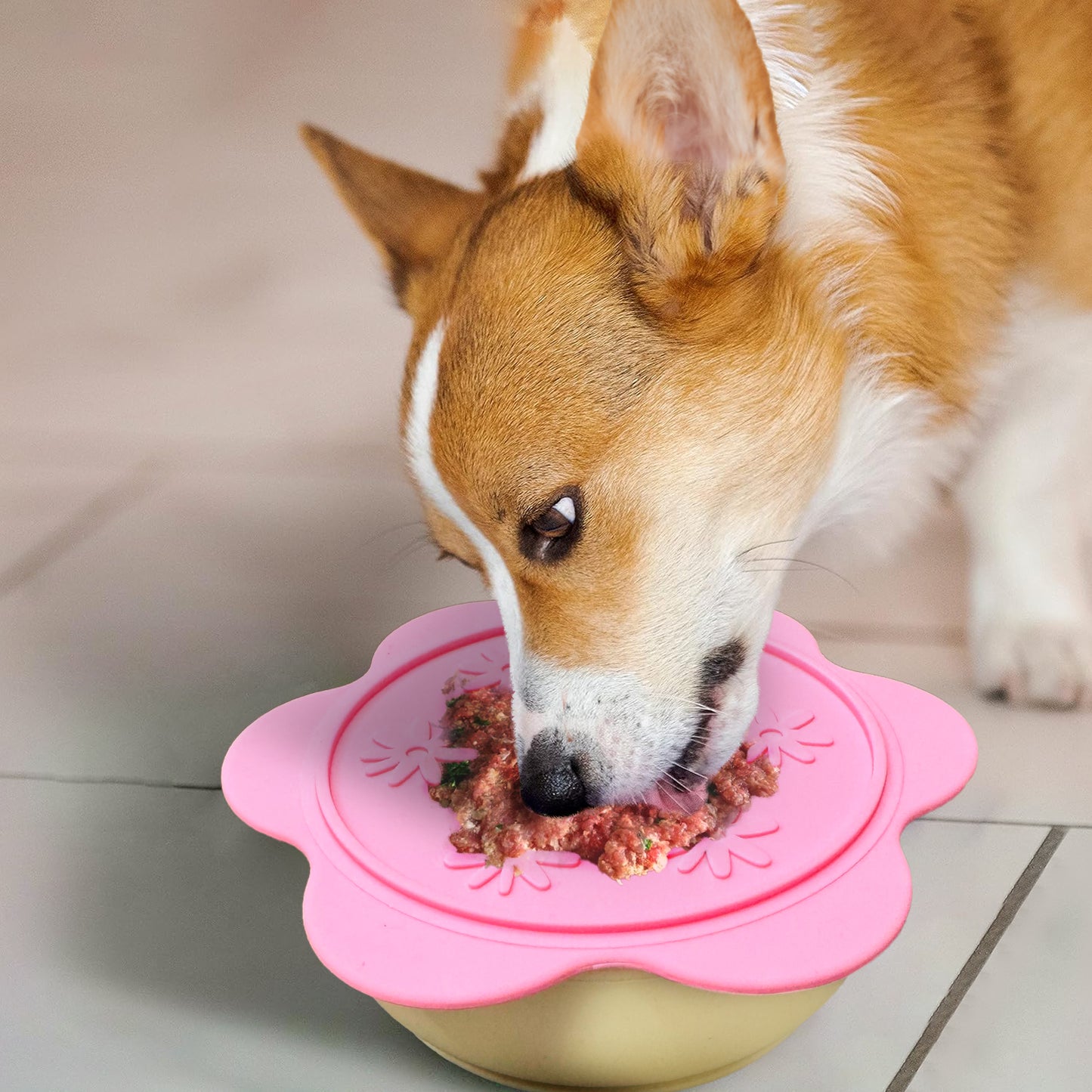 P.T. Supply Co. Lilac Small Flower-Shaped Silicone Pet Bowl with Non-Slip Suction Base