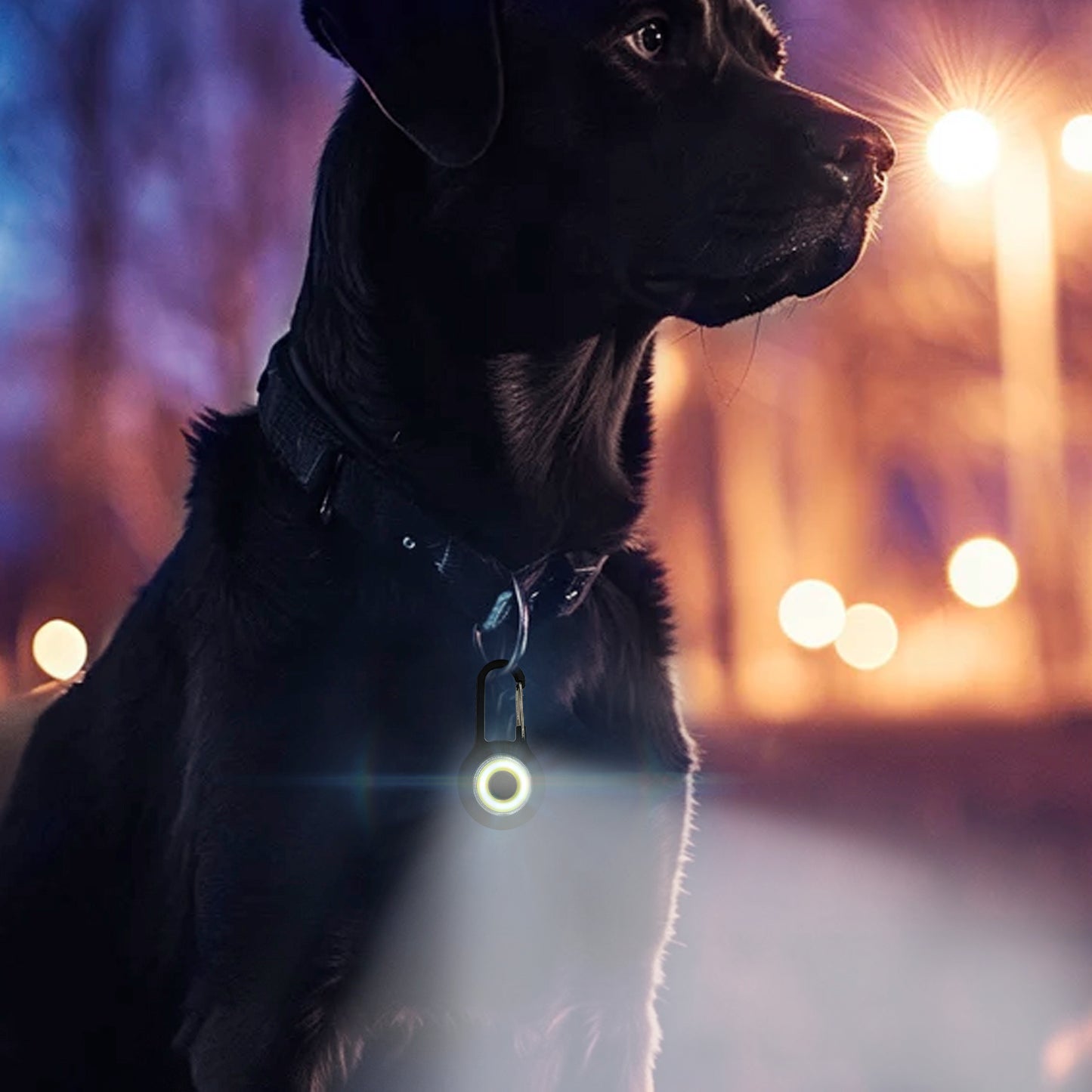 Pilot & Scout Clip-Brite LED Safety Light for Pets, High Visibility, Clip-On LED for Dogs and Cats